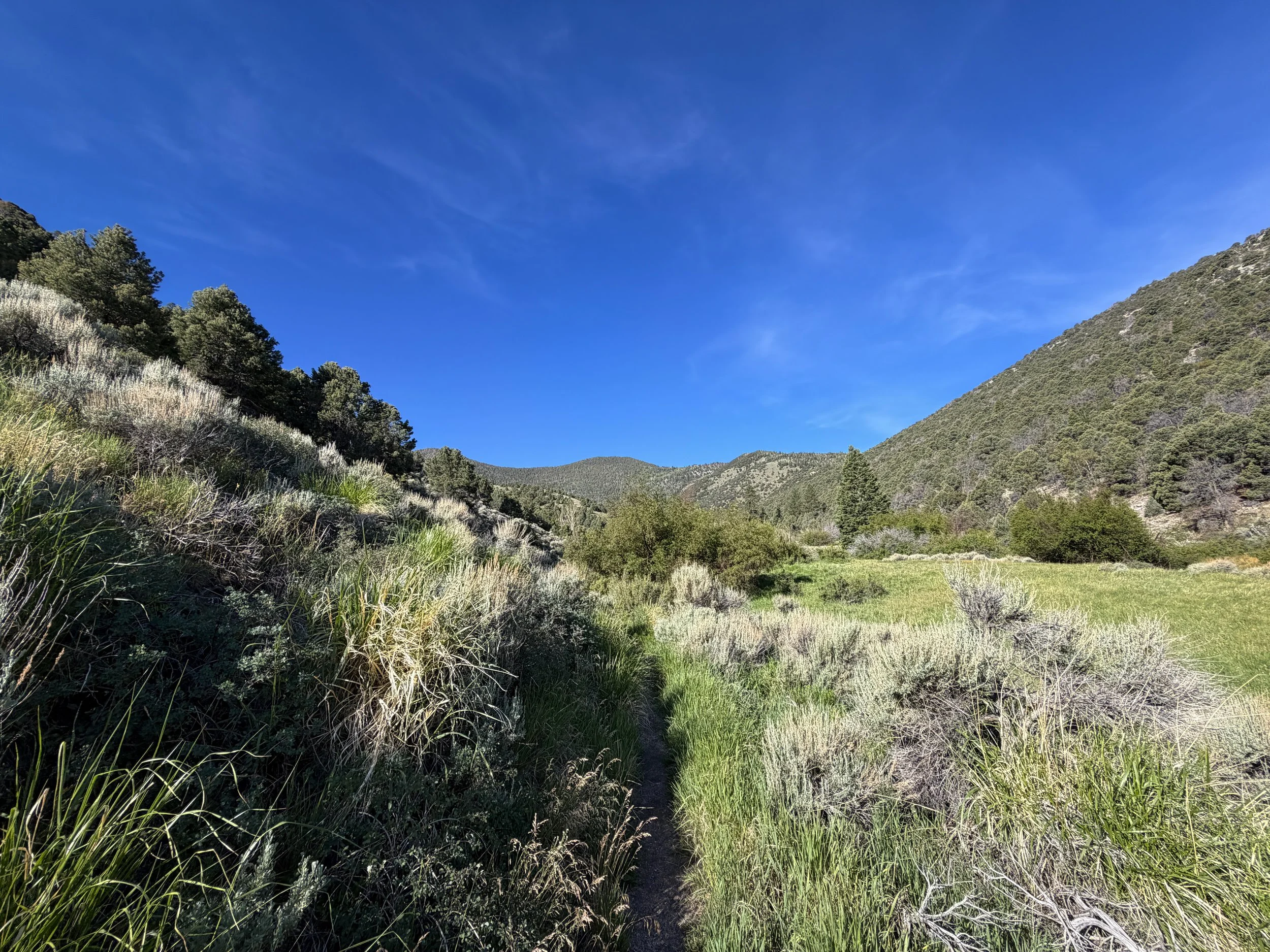 Pole Canyon Loop Trail Great Basin National Park Nevada