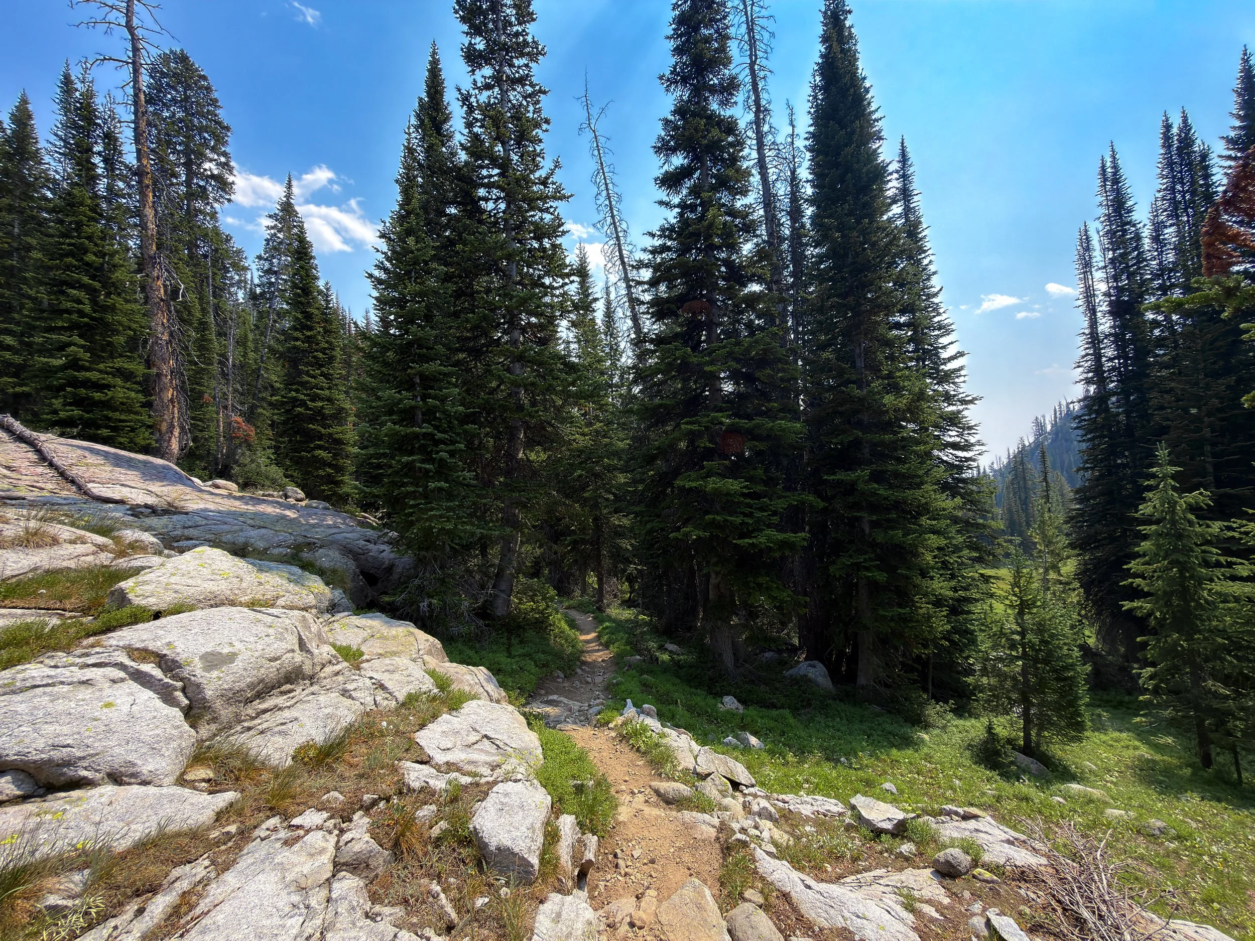 Russell Creek Trail The Beaten Path Beartooth Mountains Montana