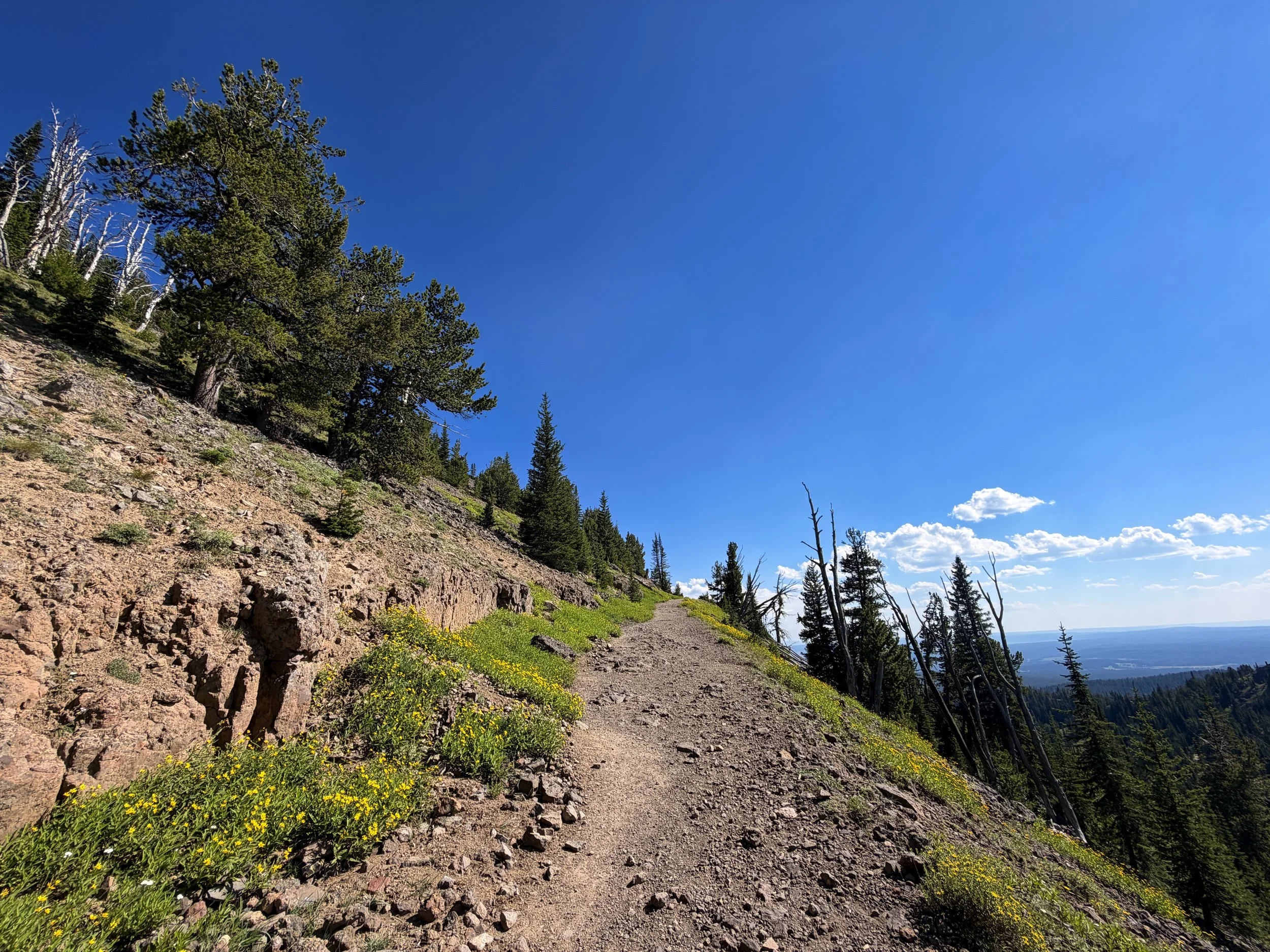 Mt. Washburn Hike via Dunraven Pass Yellowstone National Park Wyoming