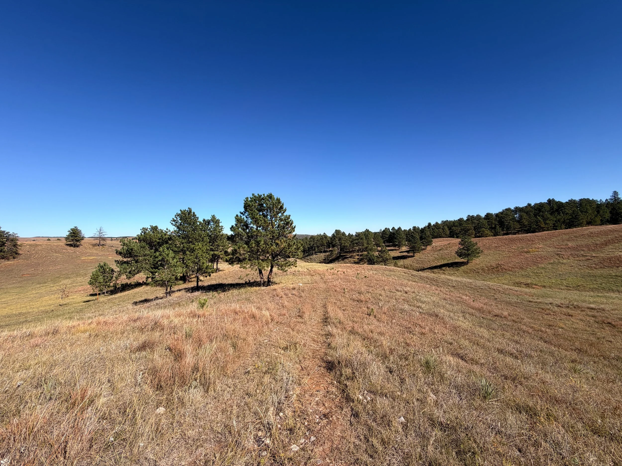 East Bison Flats Trail Wind Cave National Park South Dakota