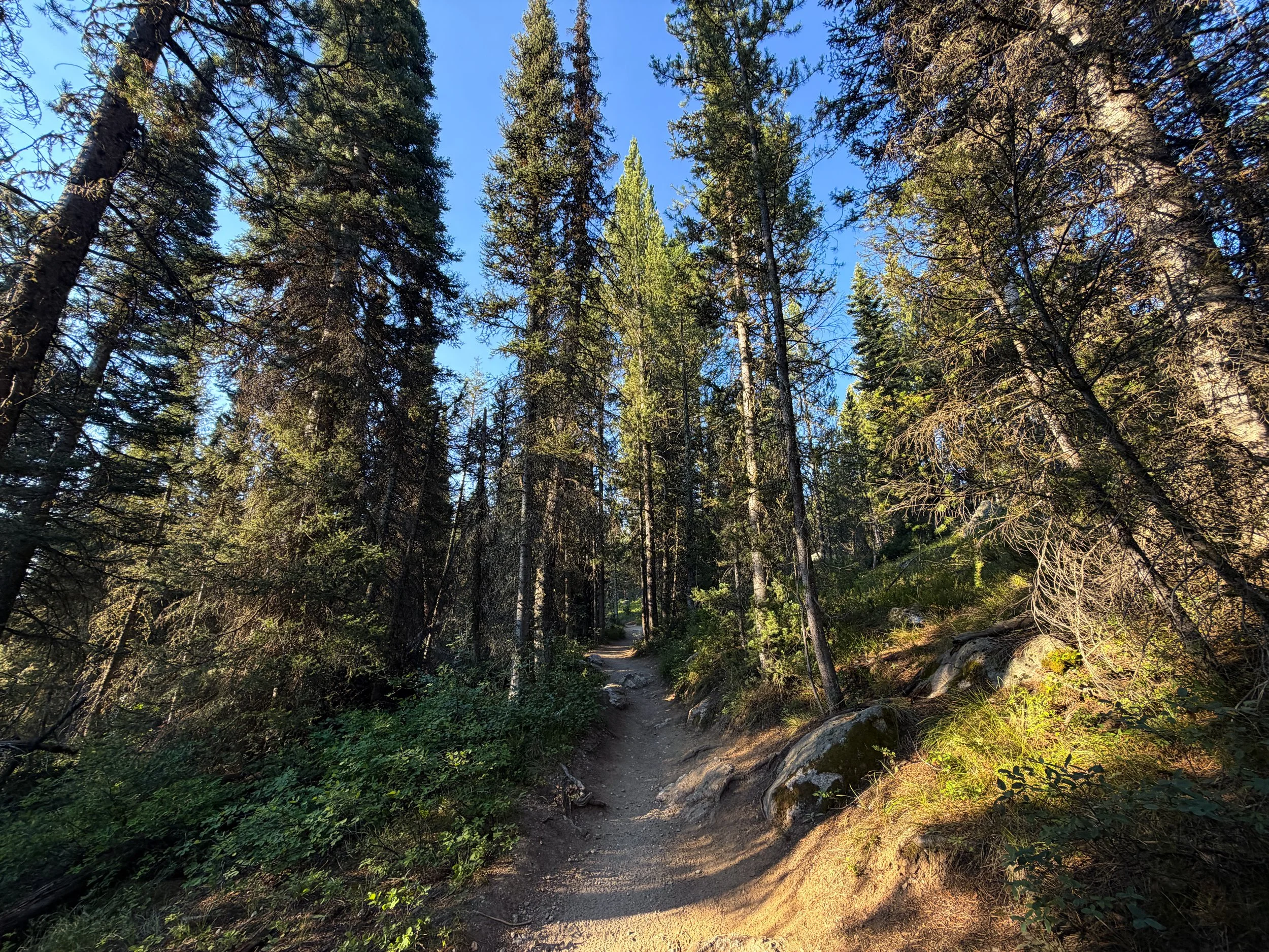 Delta Lake Trail via Lupine Meadows Grand Teton National Park Wyoming