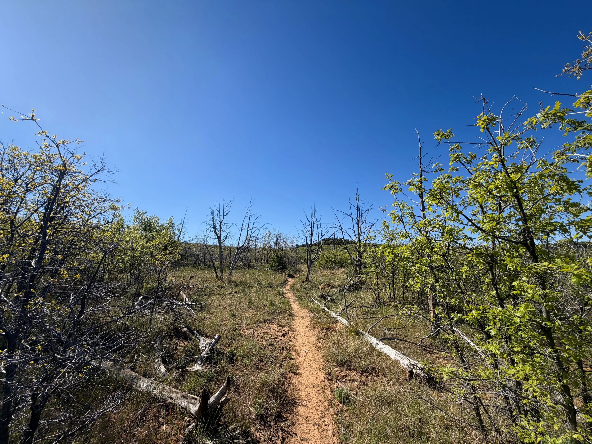 Deertrap Mountain Trail Zion National Park Utah
