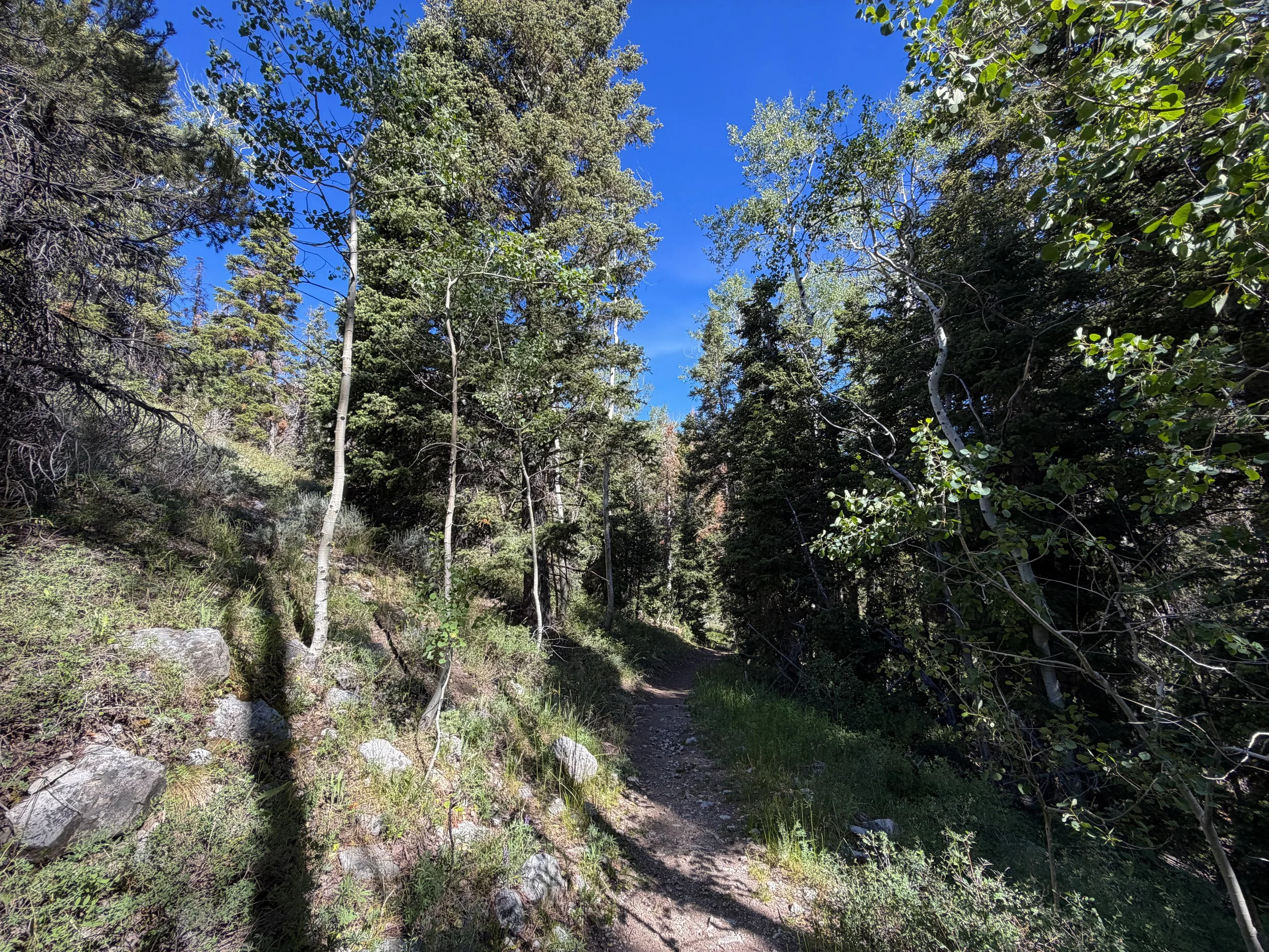 Pole Canyon Loop Hike Great Basin National Park Nevada
