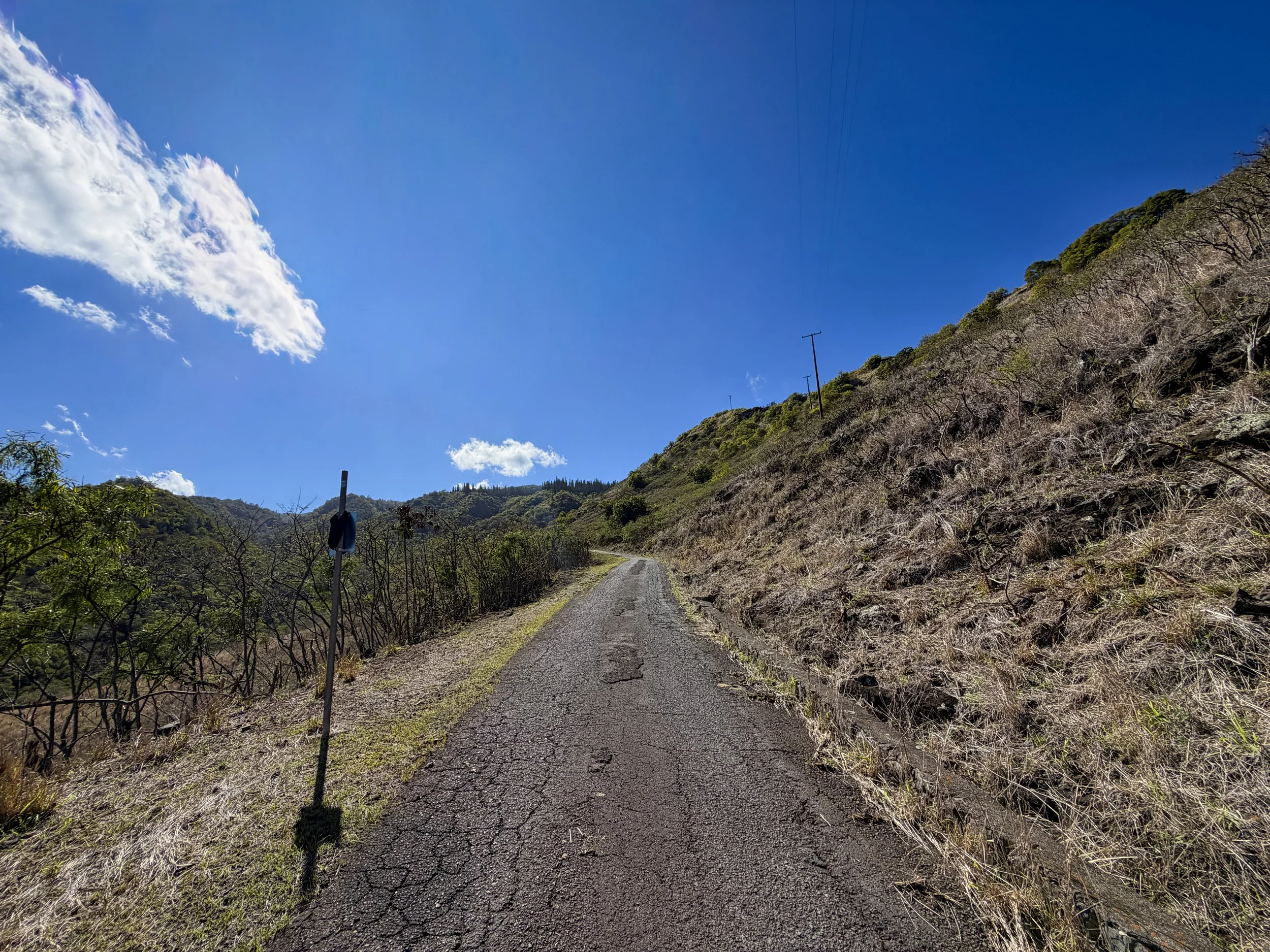 Mokuleia Forest Reserve Access Road Oahu Hawaii