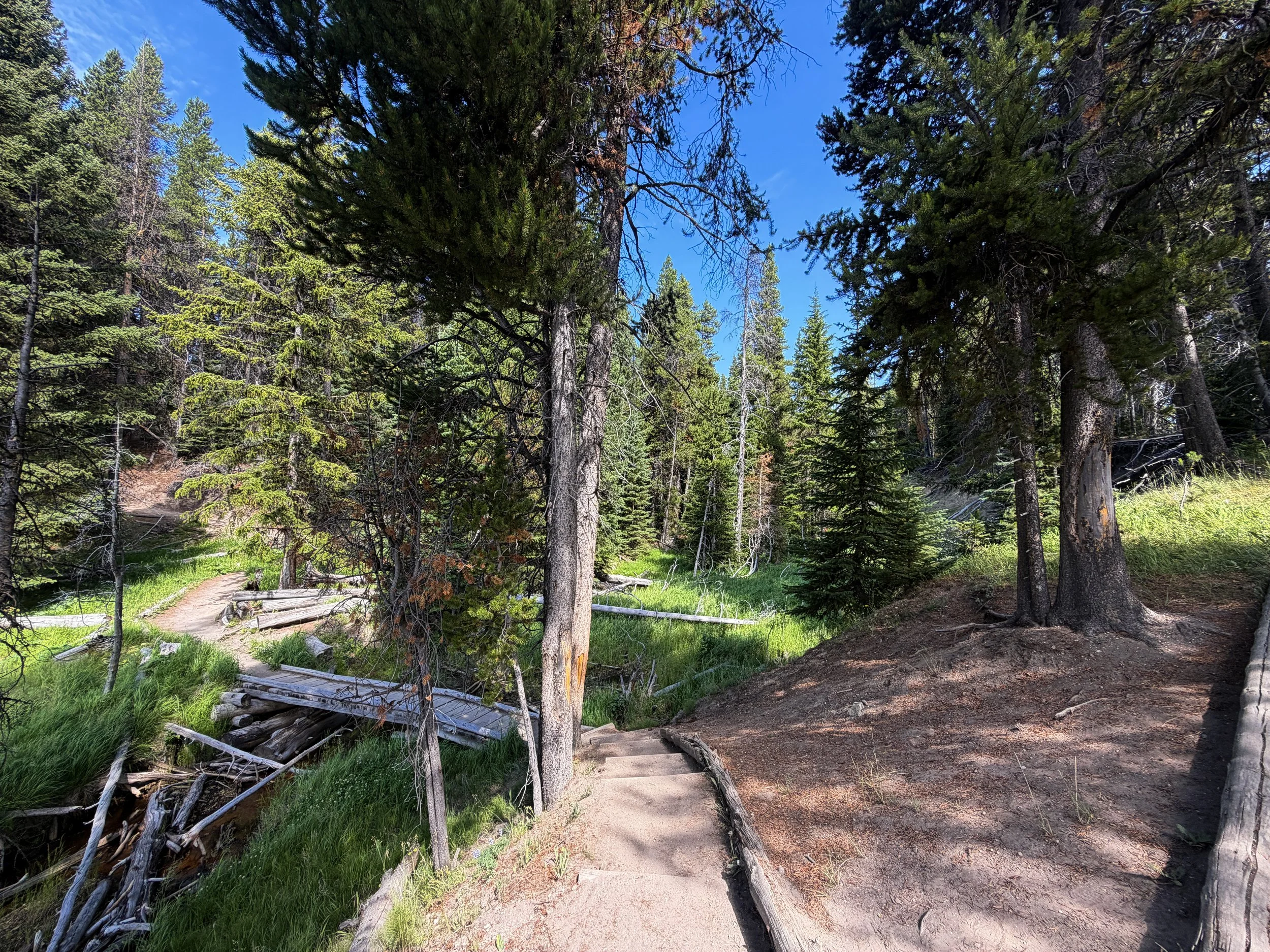 Storm Point Trail Yellowstone National Park Wyoming