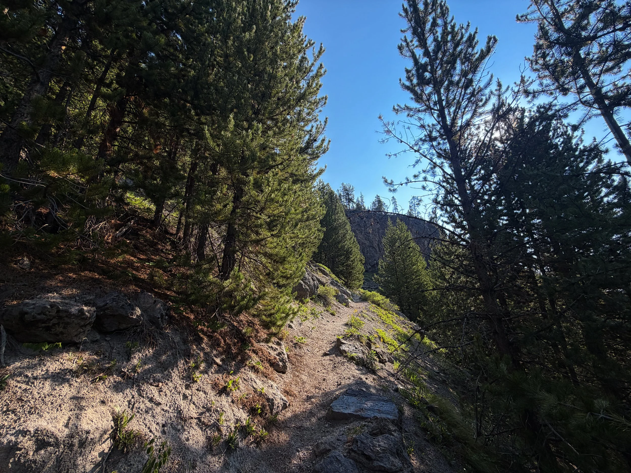 Mystic Falls Trail Yellowstone National Park Wyoming