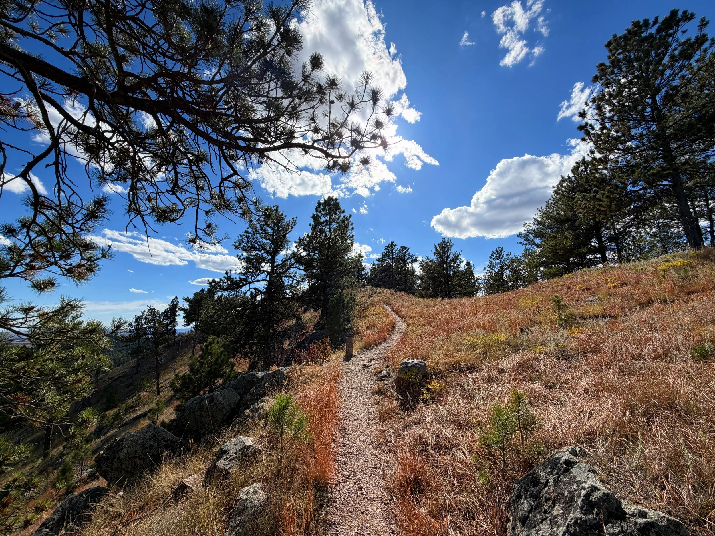 Rankin Ridge Hike Wind Cave National Park South Dakota