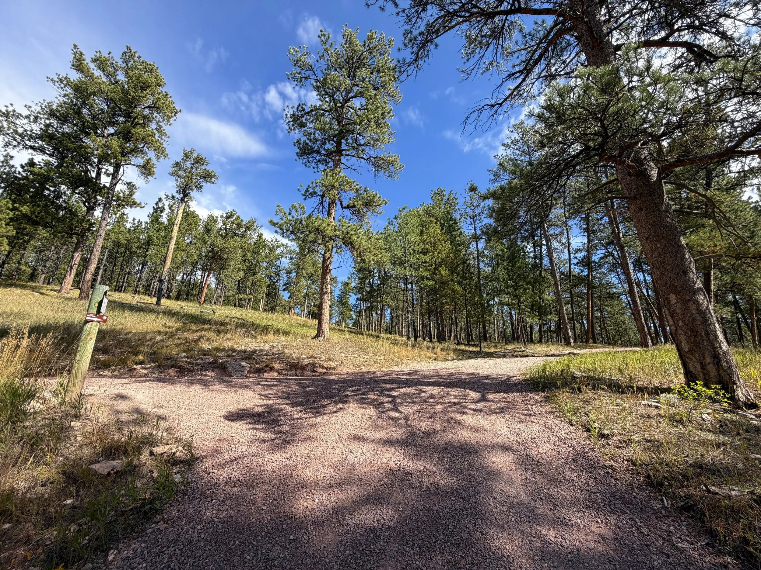 Roof Trail Jewel Cave National Monument Black Hills South Dakota
