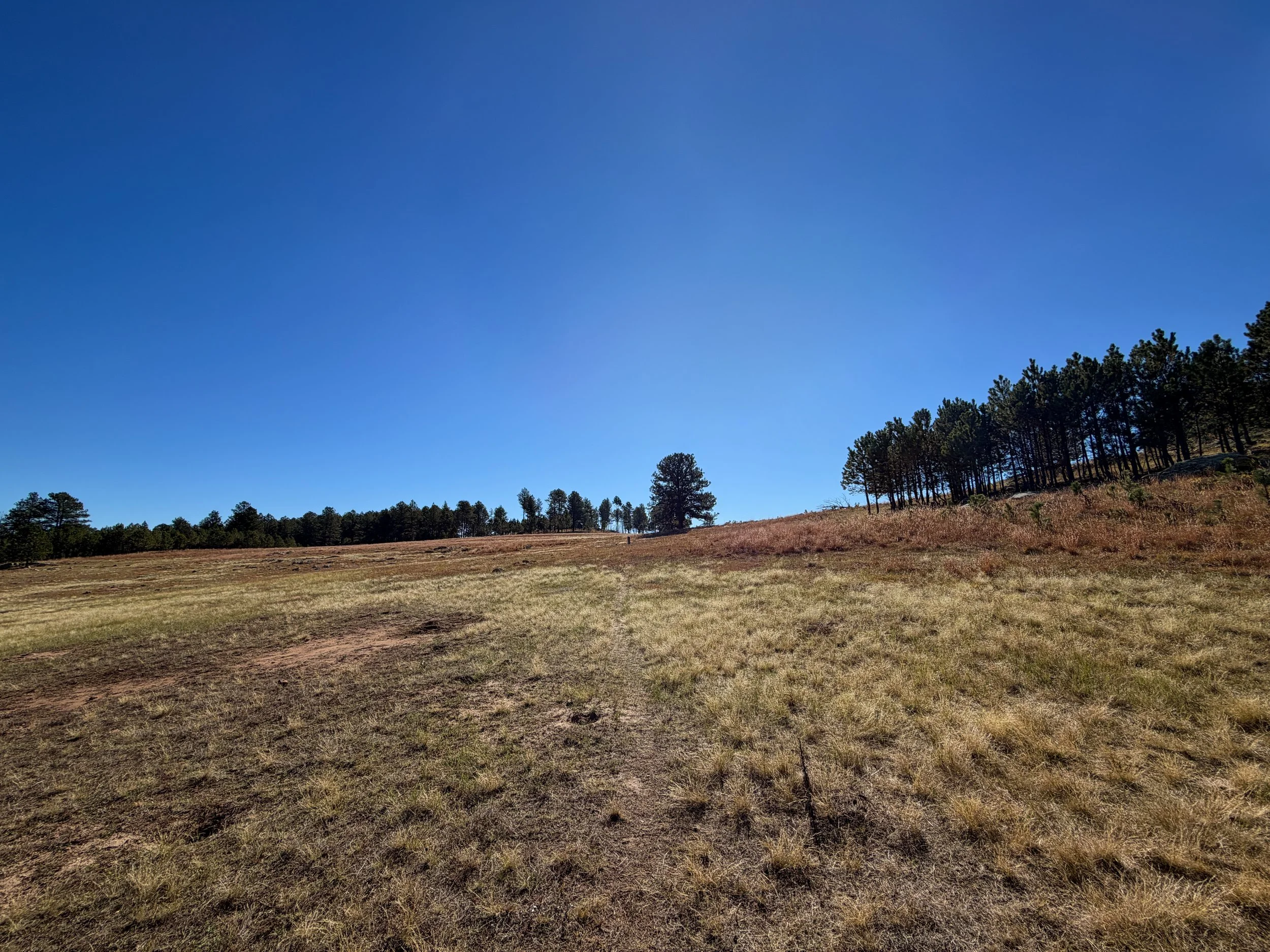 Sanctuary Trail Wind Cave National Park South Dakota