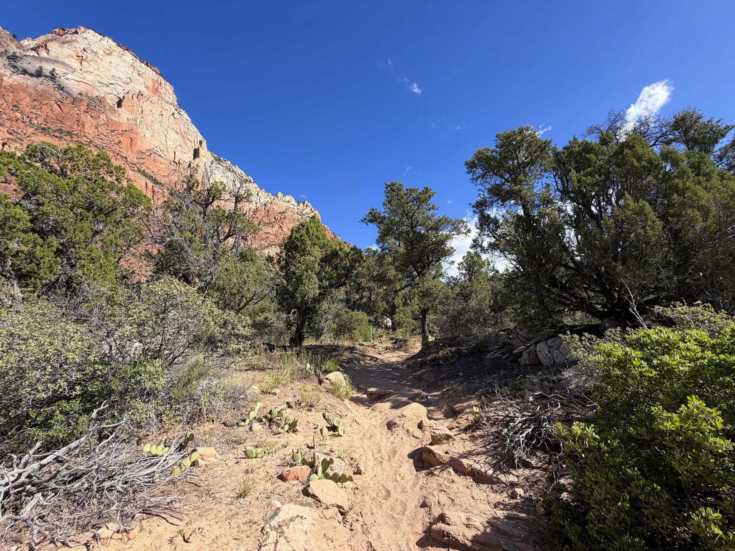 Sand Bench Trail Zion National Park Utah