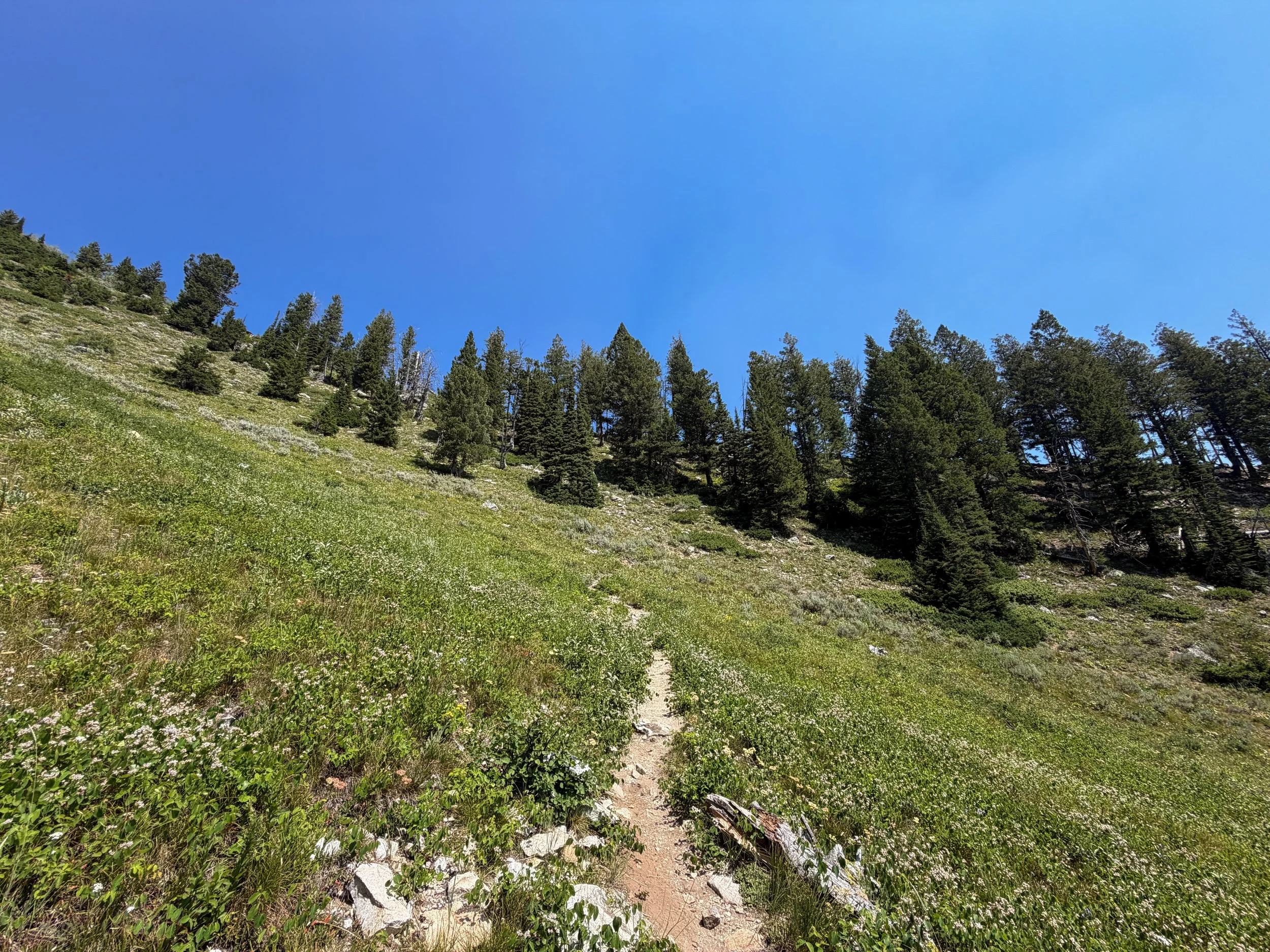 Lake of the Crags Hike Grand Teton National Park Wyoming