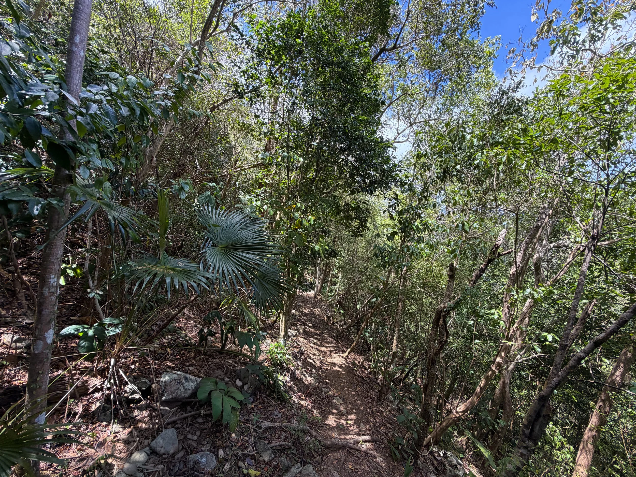 Maria Hope Hike Virgin Islands National Park