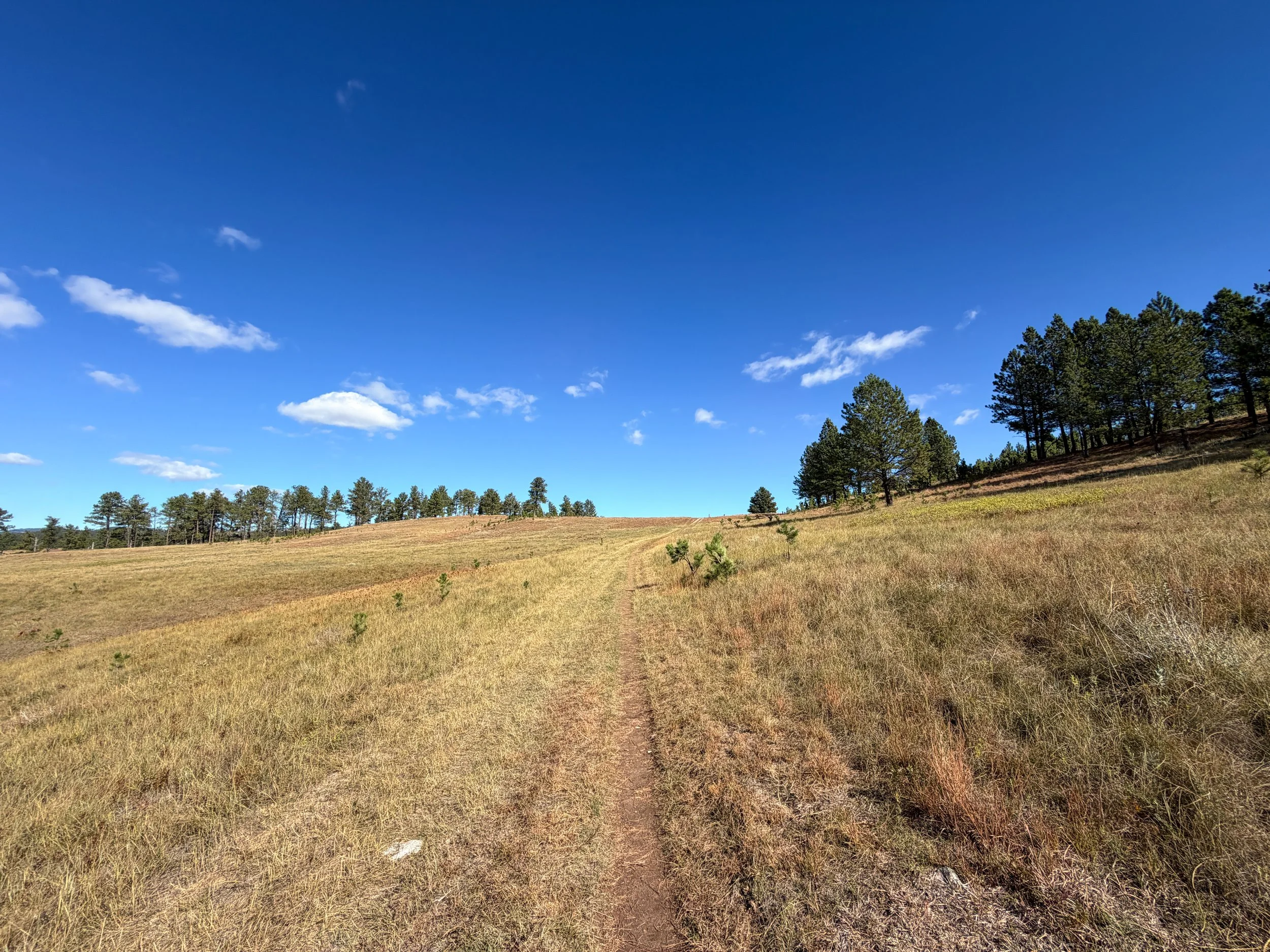 Lookout Point Trail Wind Cave National Park South Dakota