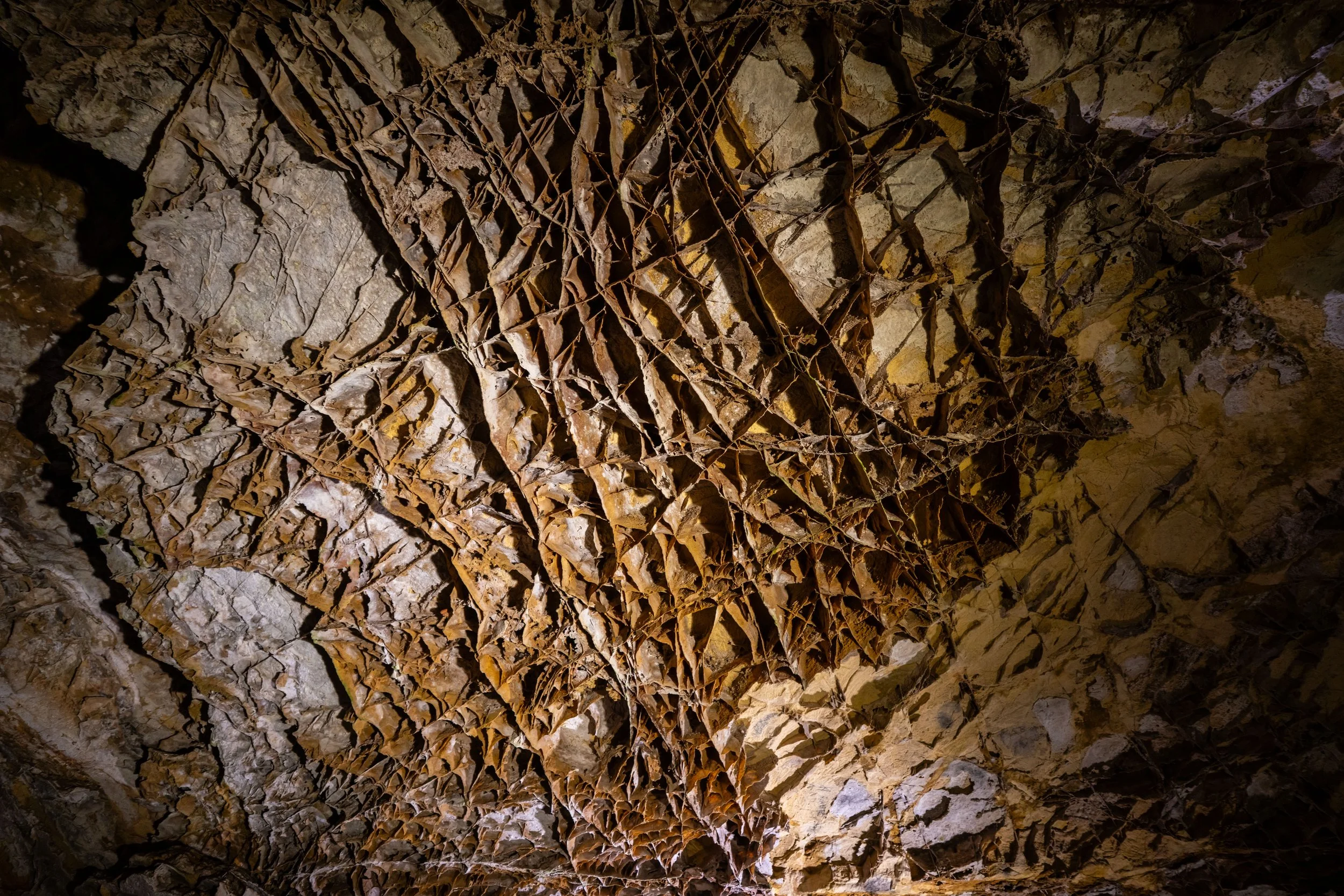 Best Things to Do in Wind Cave National Park