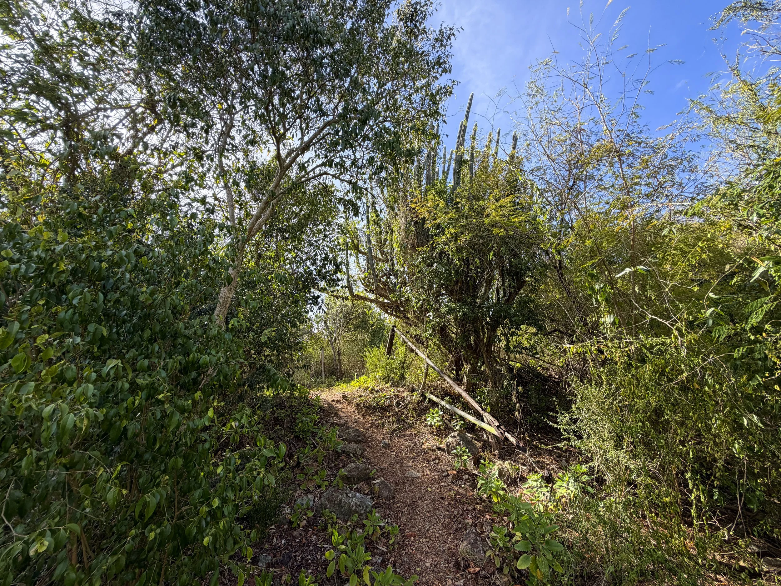 Tektite Trail Virgin Islands National Park