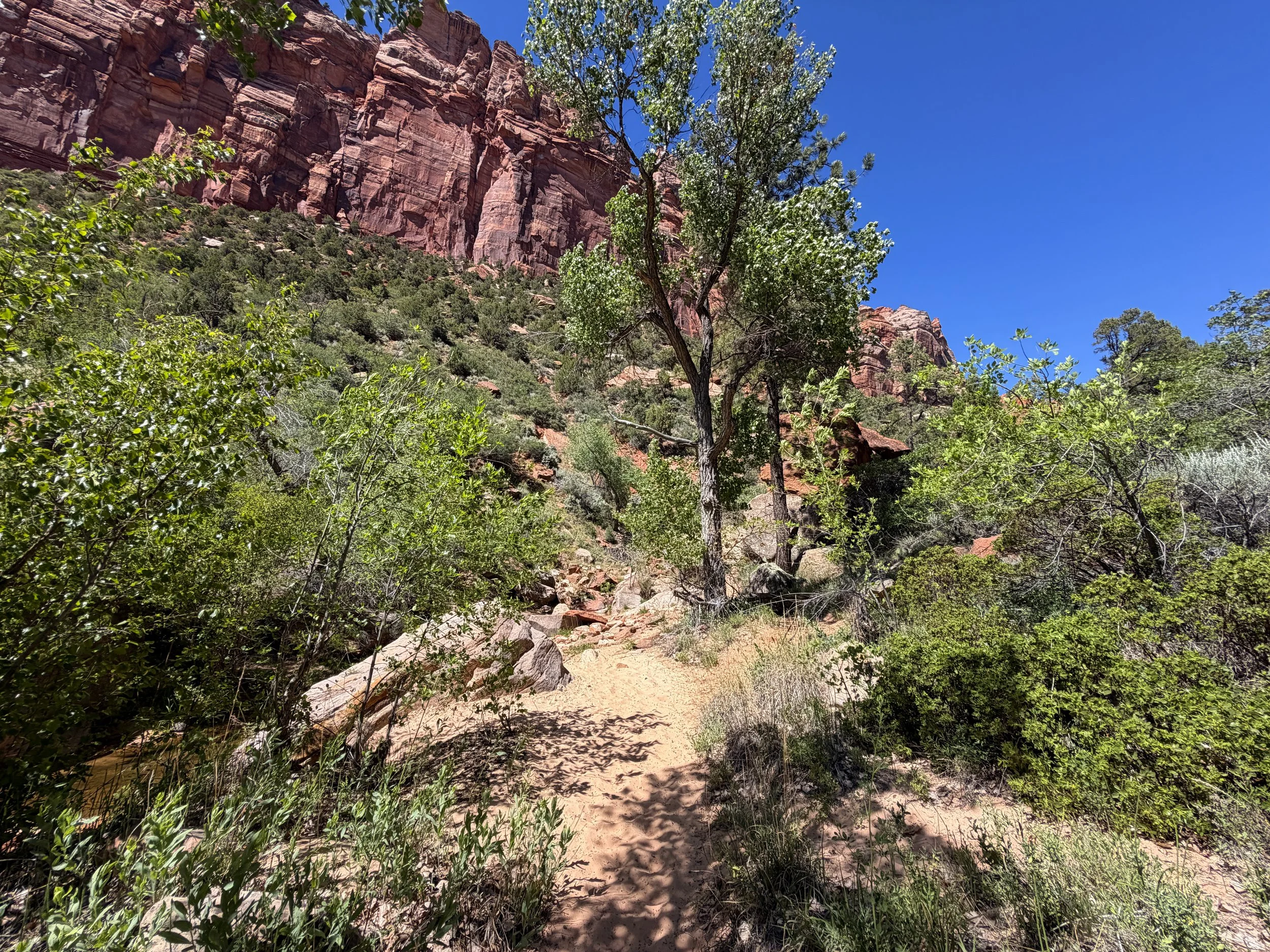 Subway Trail Left Fork North Creek Zion National Park Utah