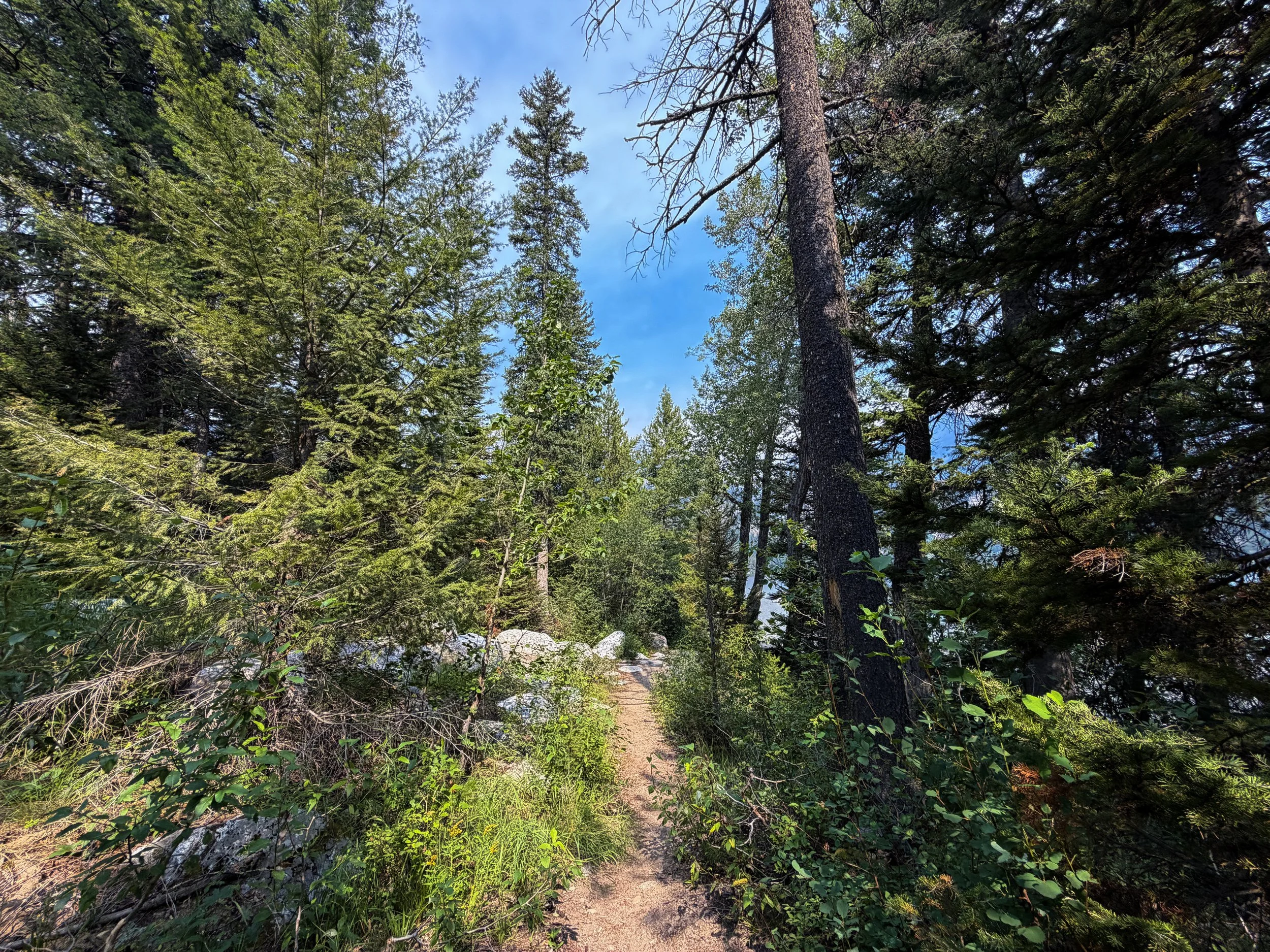 Boulder Ridge Trail Grand Teton National Park Wyoming