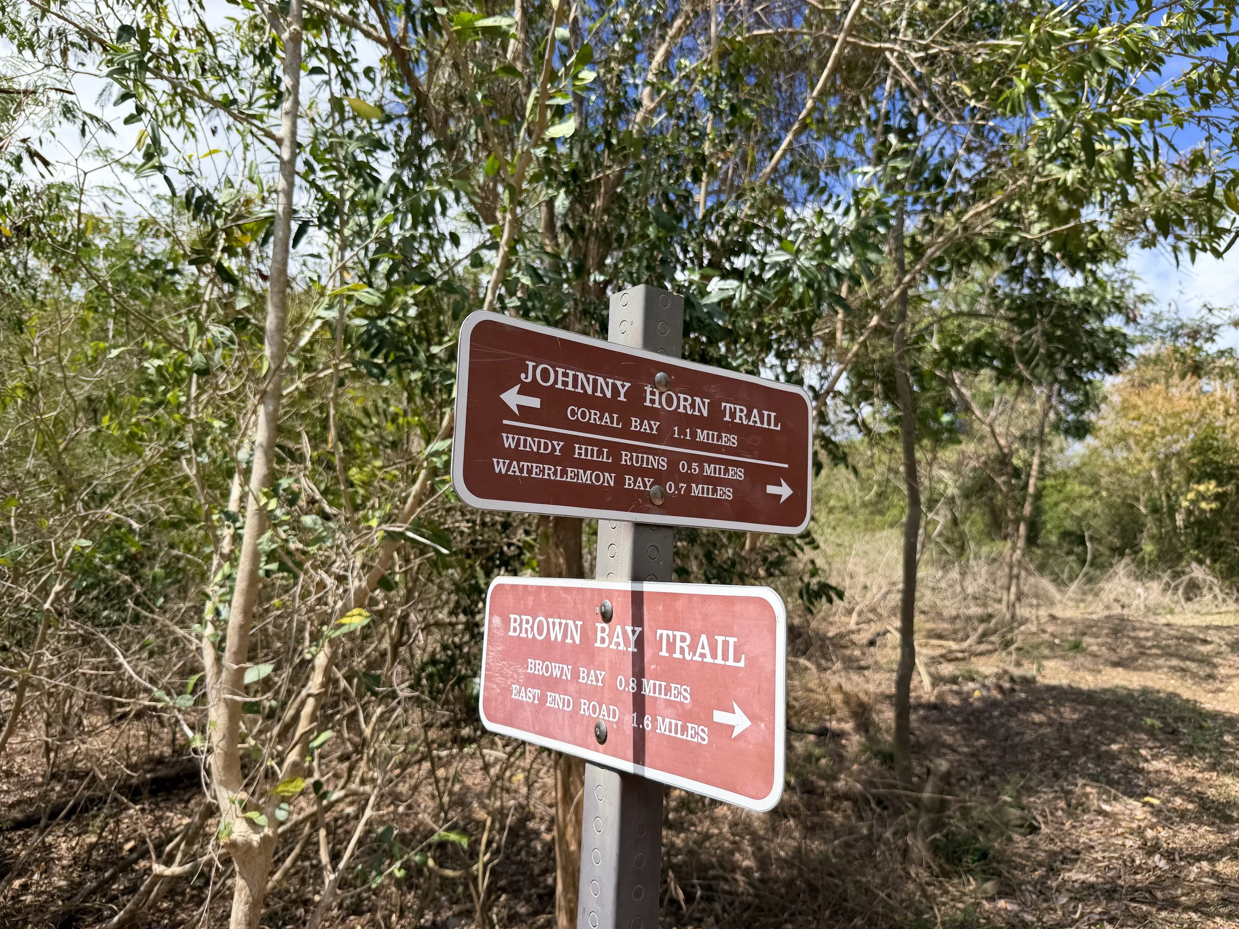 Brown Bay Trail Virgin Islands National Park