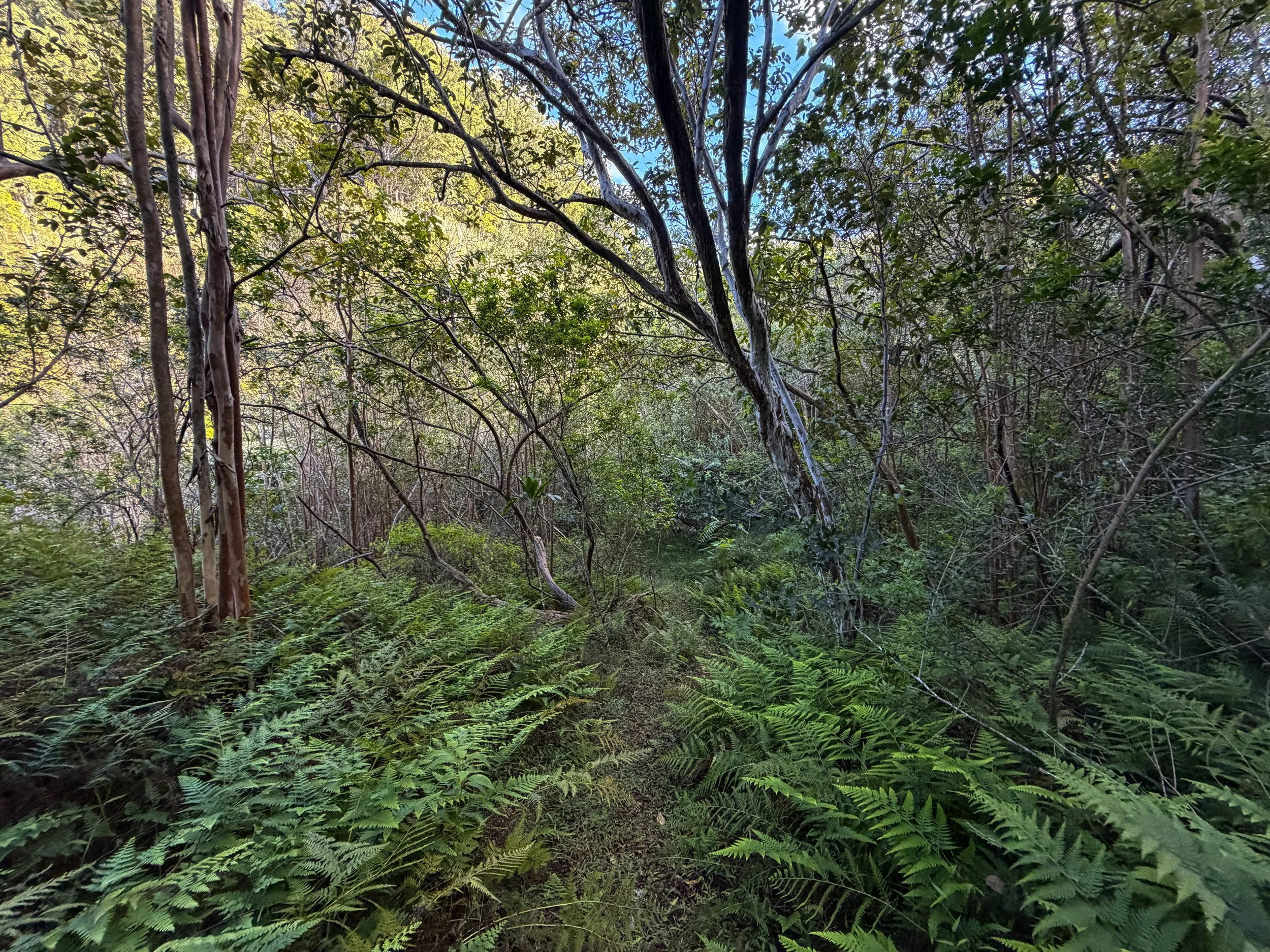 Mokuleia Hike Oahu Hawaii