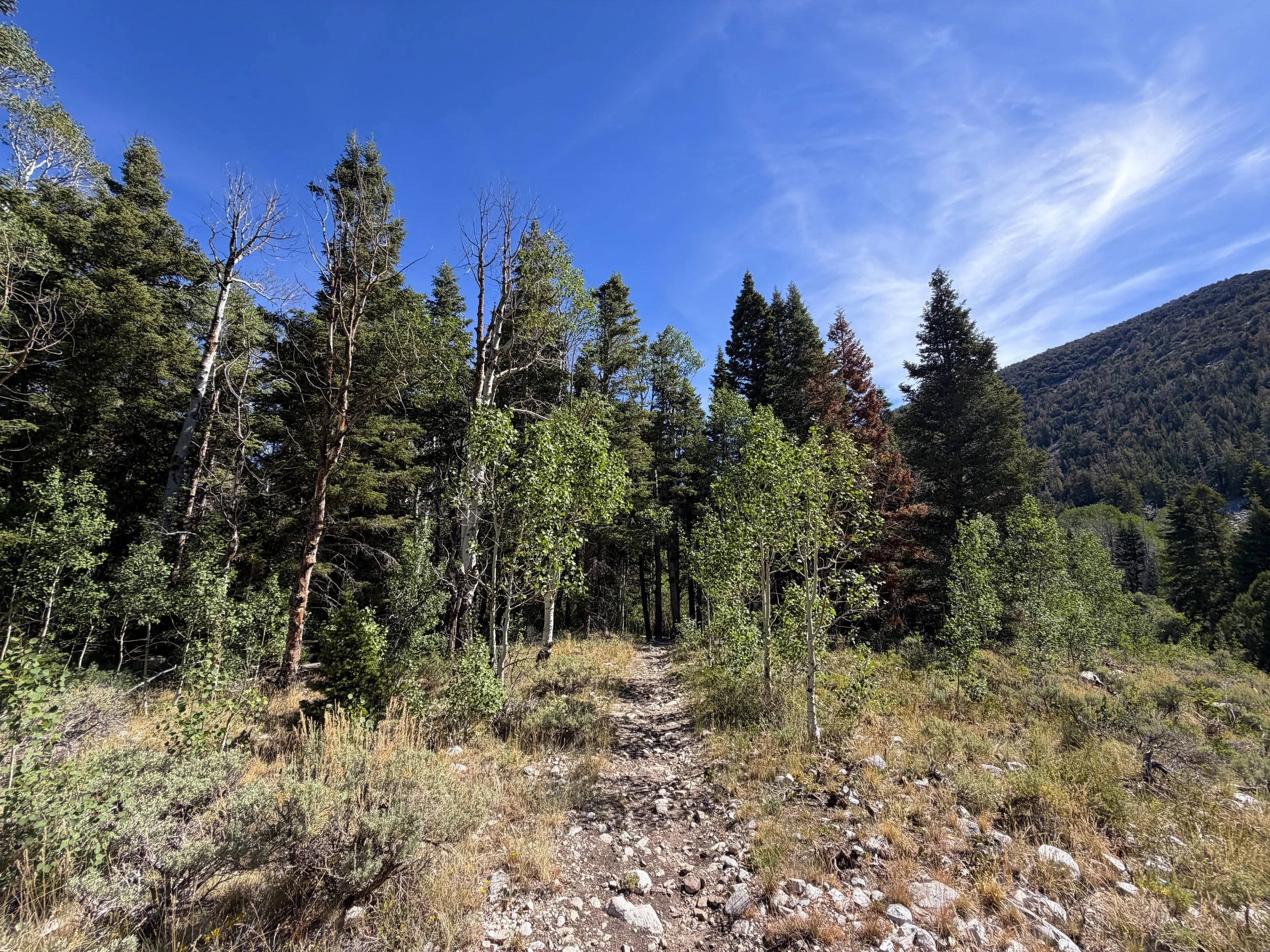 Pole Canyon Trail Great Basin National Park Nevada