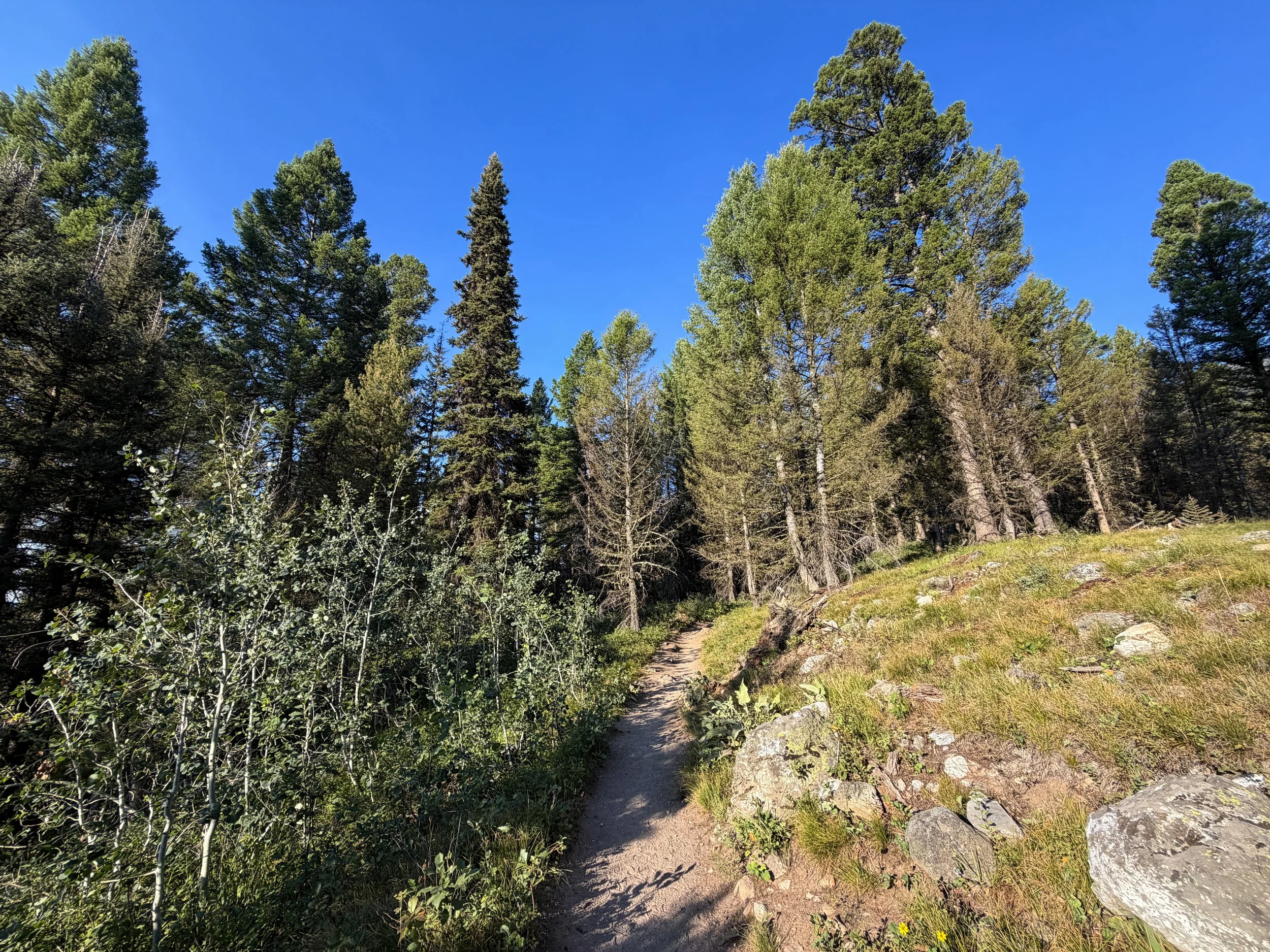 Delta Lake Hike via Lupine Meadows Grand Teton National Park Wyoming
