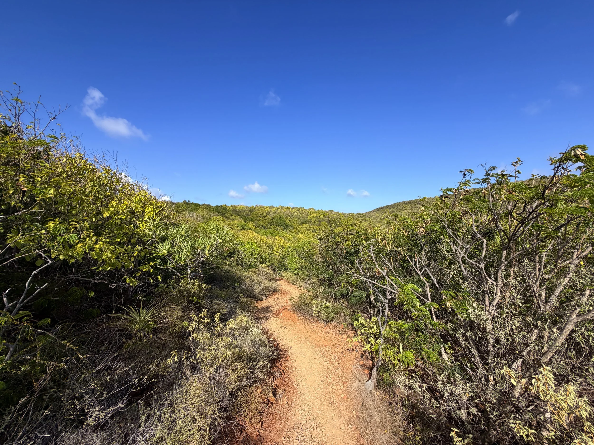 Rams Head Trail Virgin Islands National Park