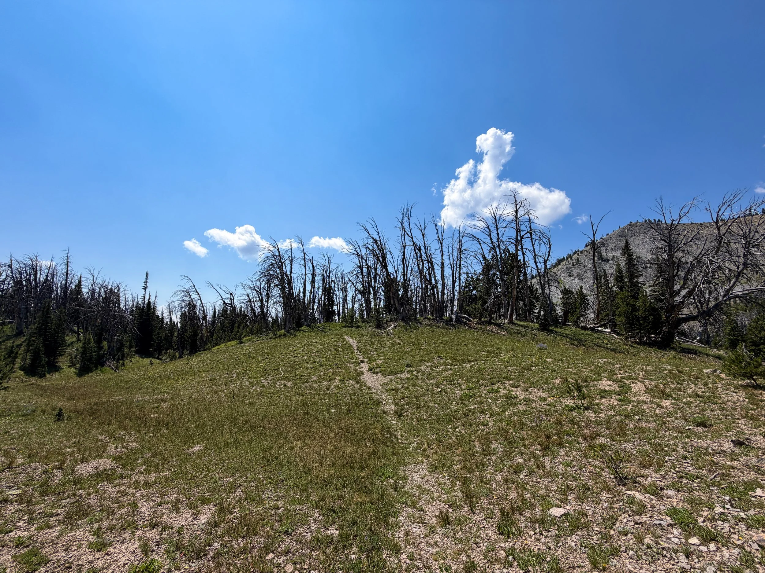 Avalanche Peak Trail Yellowstone National Park Wyoming