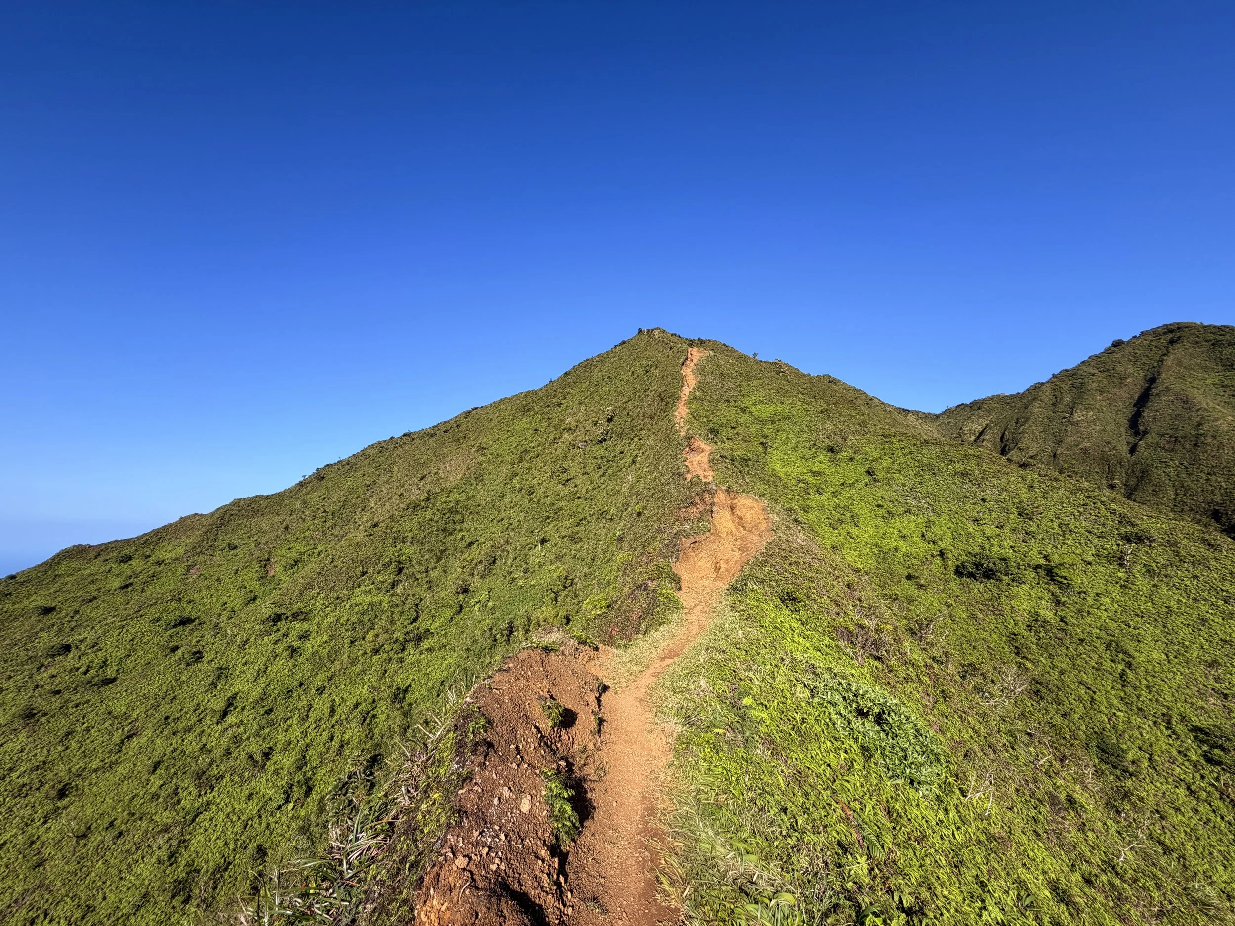 Moanalua Middle Ridge Trail Back Way to Stairway to Heaven Oahu Hawaii