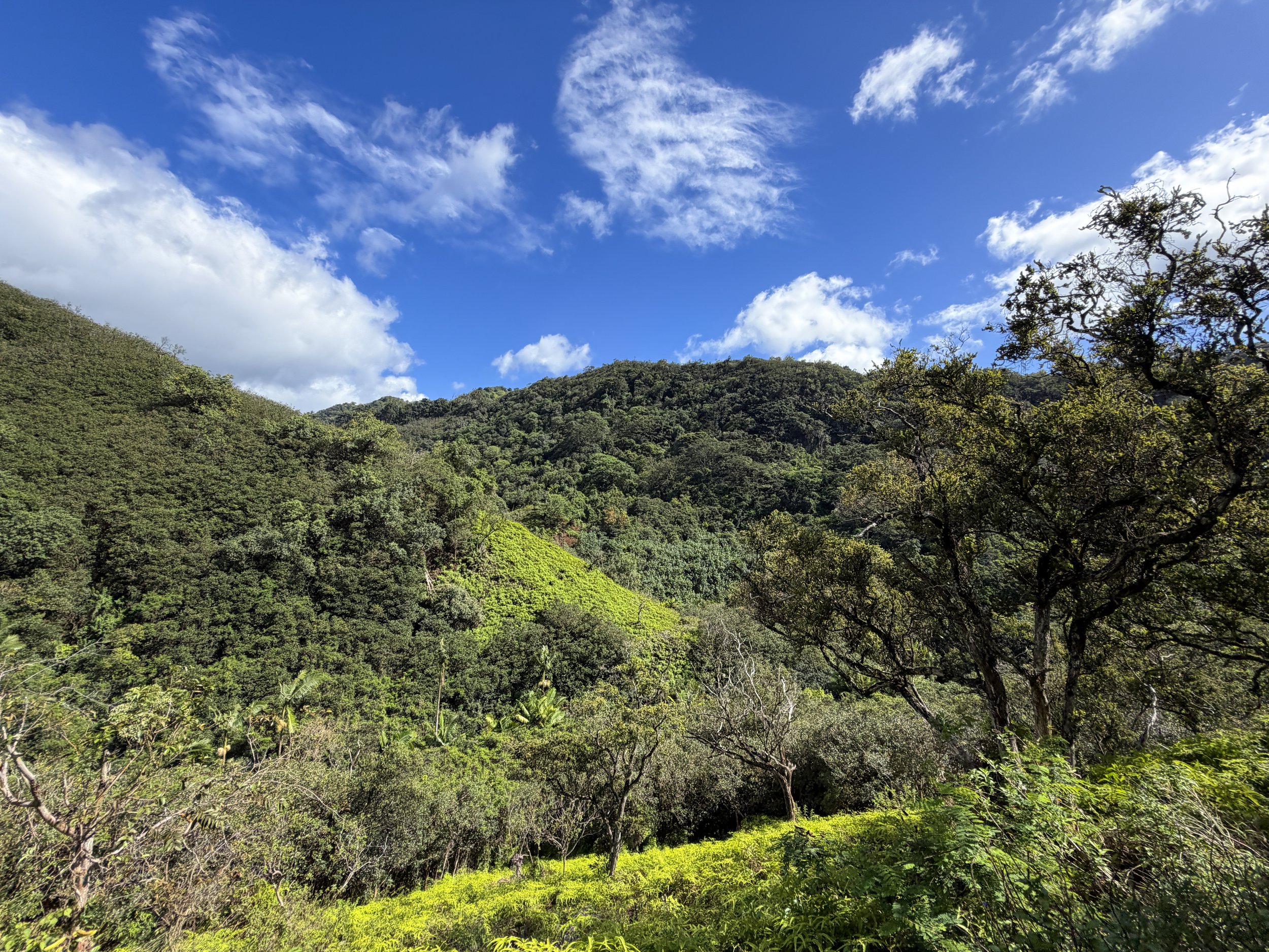 Waimano Falls Trail Oahu Hawaii