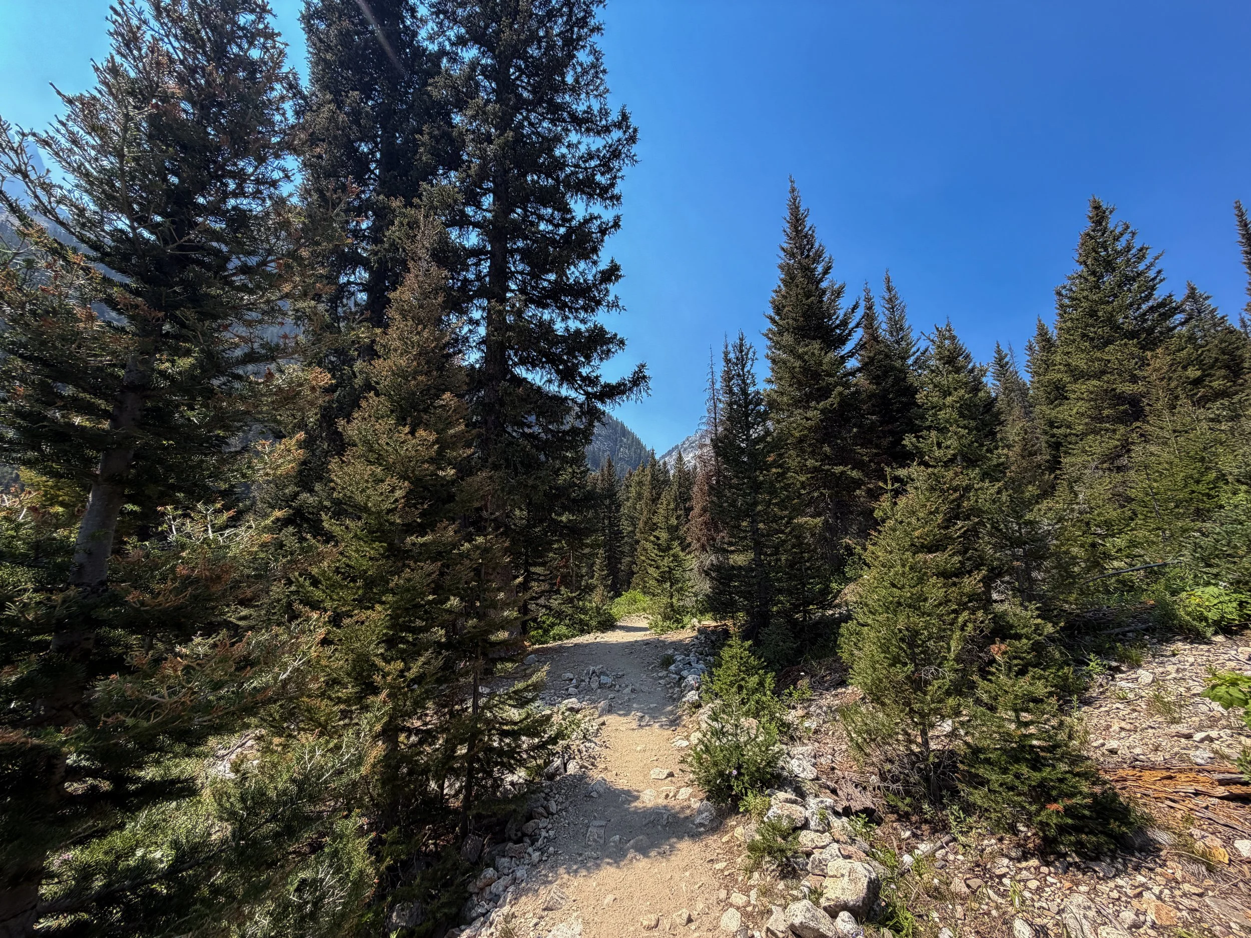 Cascade Canyon Trail Grand Teton National Park Wyoming