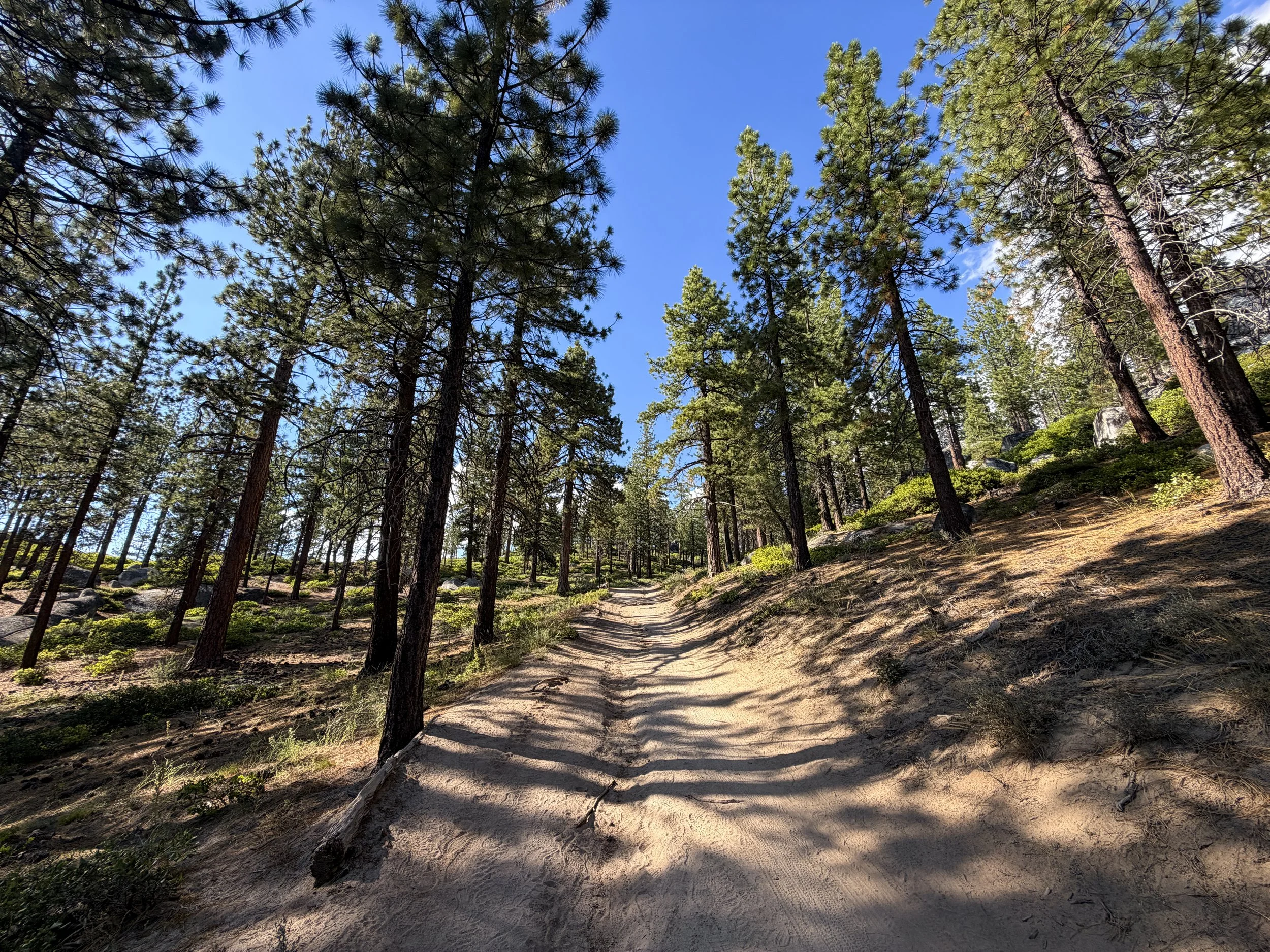 Monkey Rock Trail Lake Tahoe Nevada