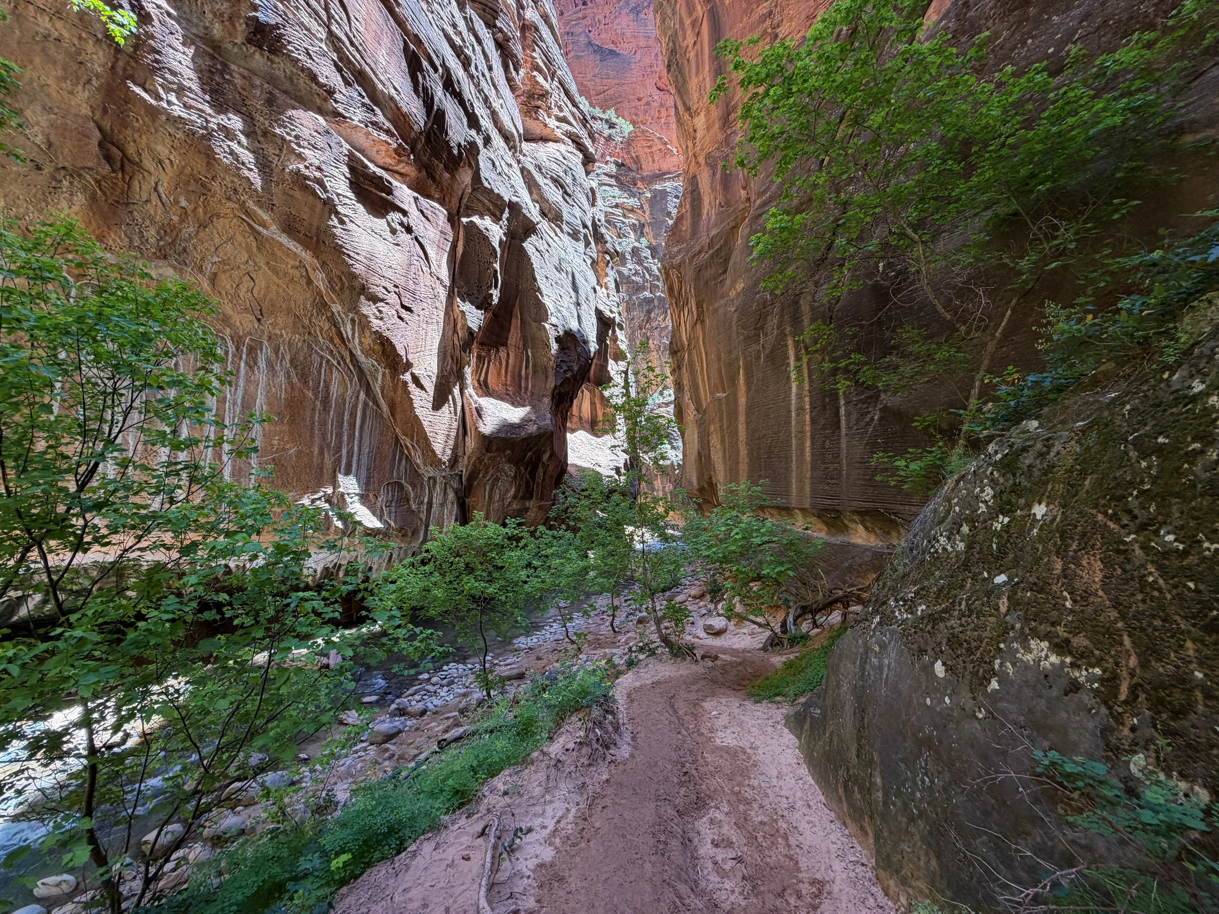 Narrows Hike Zion National Park Utah