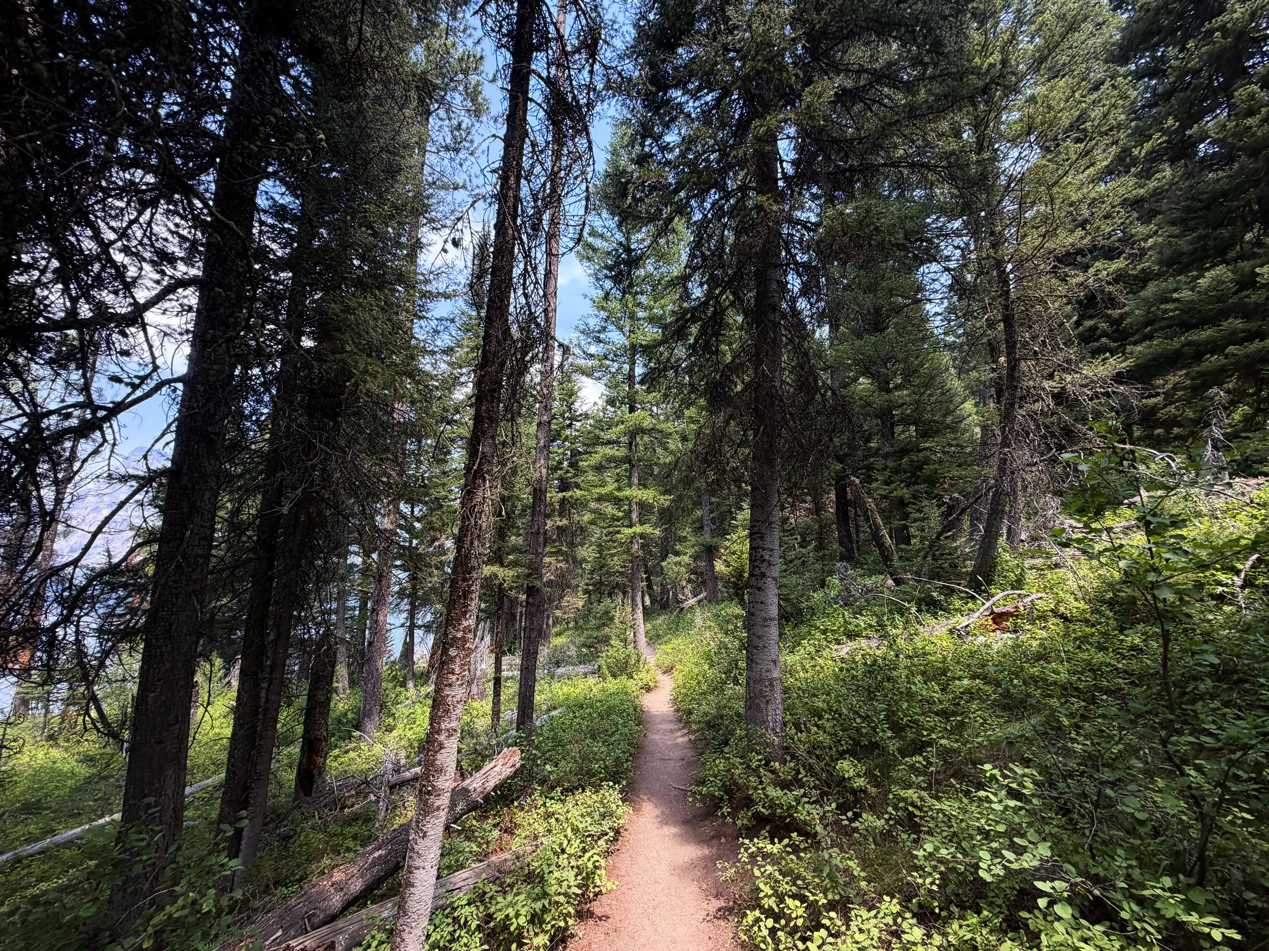 Phelps Lake Trail to Cliff Jumping Rock Grand Teton National Park Wyoming