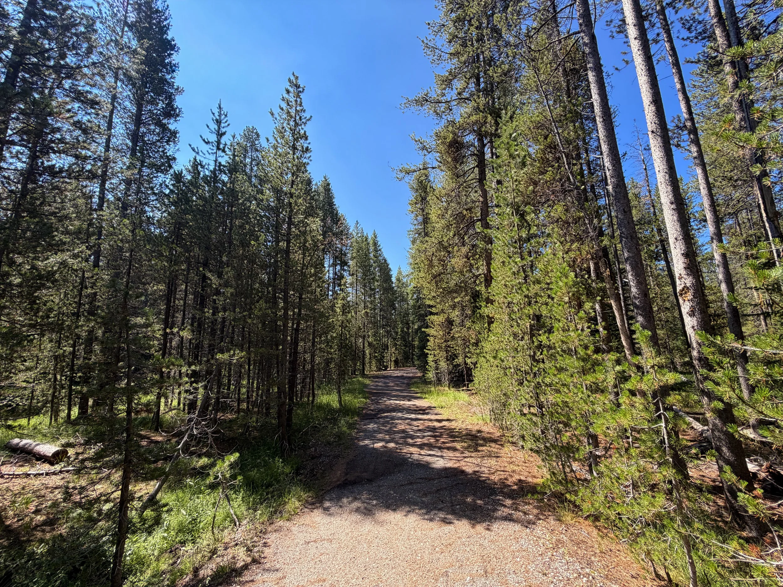 Lone Star Geyser Trail Yellowstone National Park Wyoming