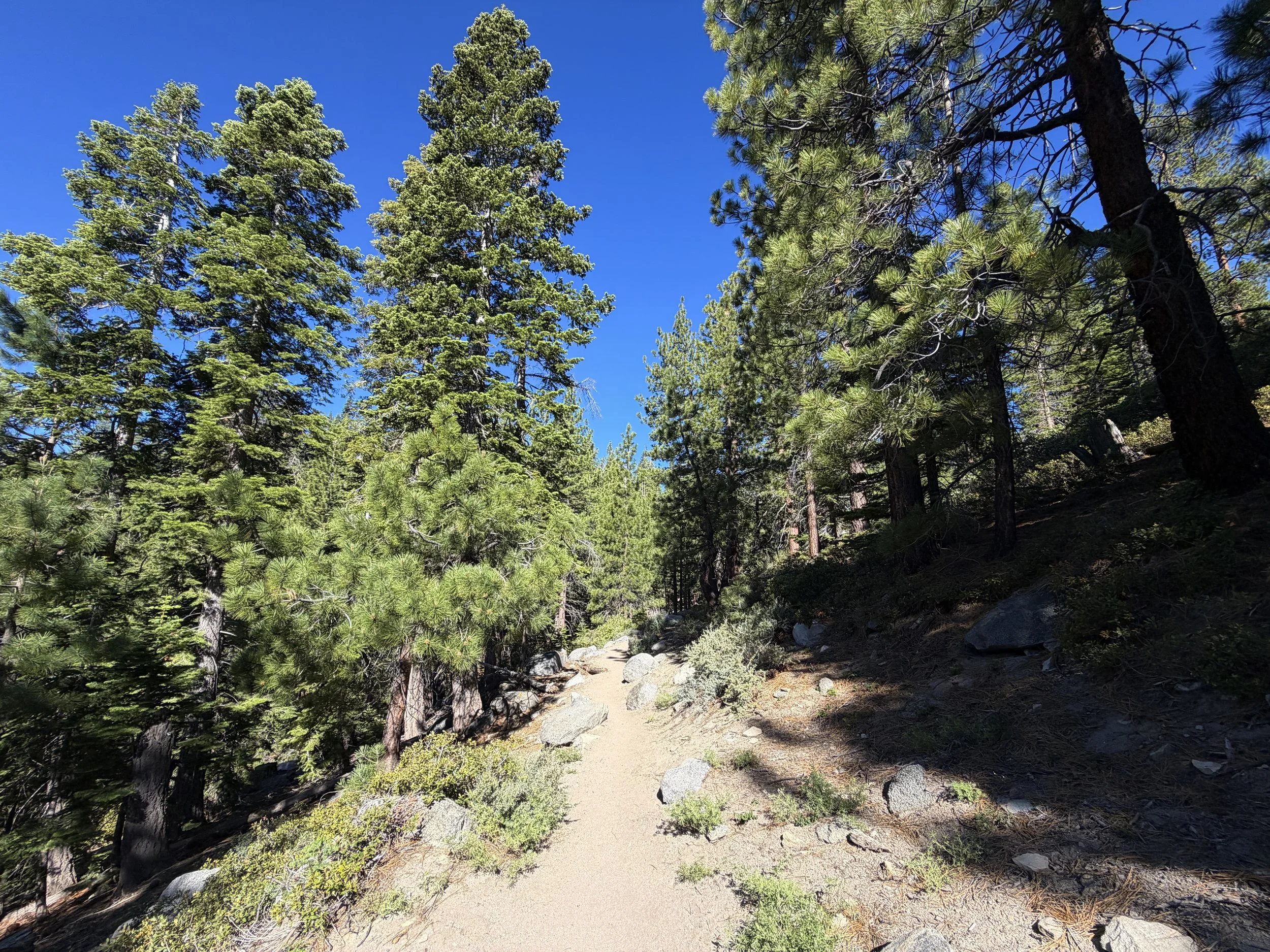 Castle Rock Trail Lake Tahoe Nevada