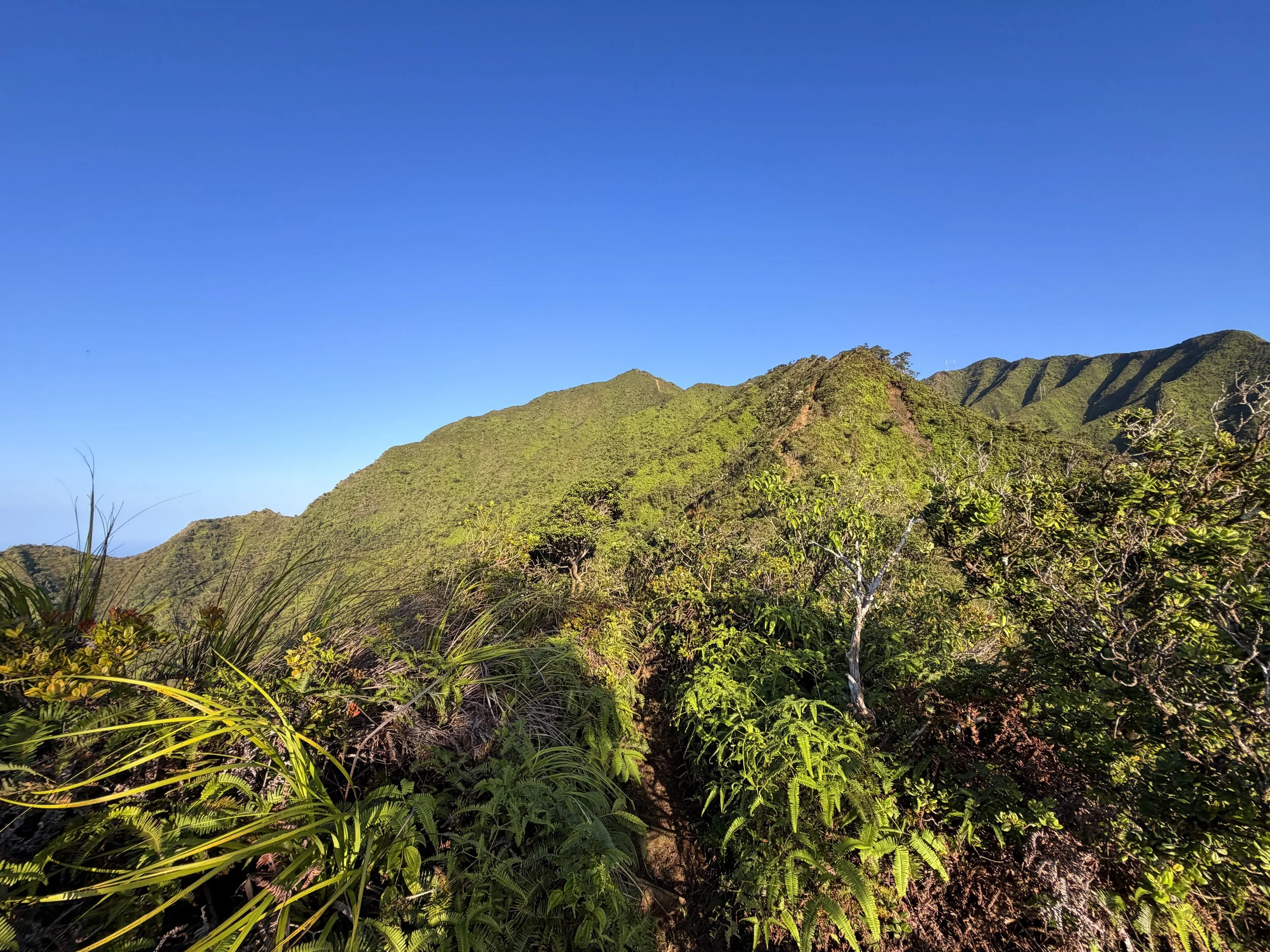 Moanalua Middle Ridge Trail to Haiku Stairs Oahu Hawaii