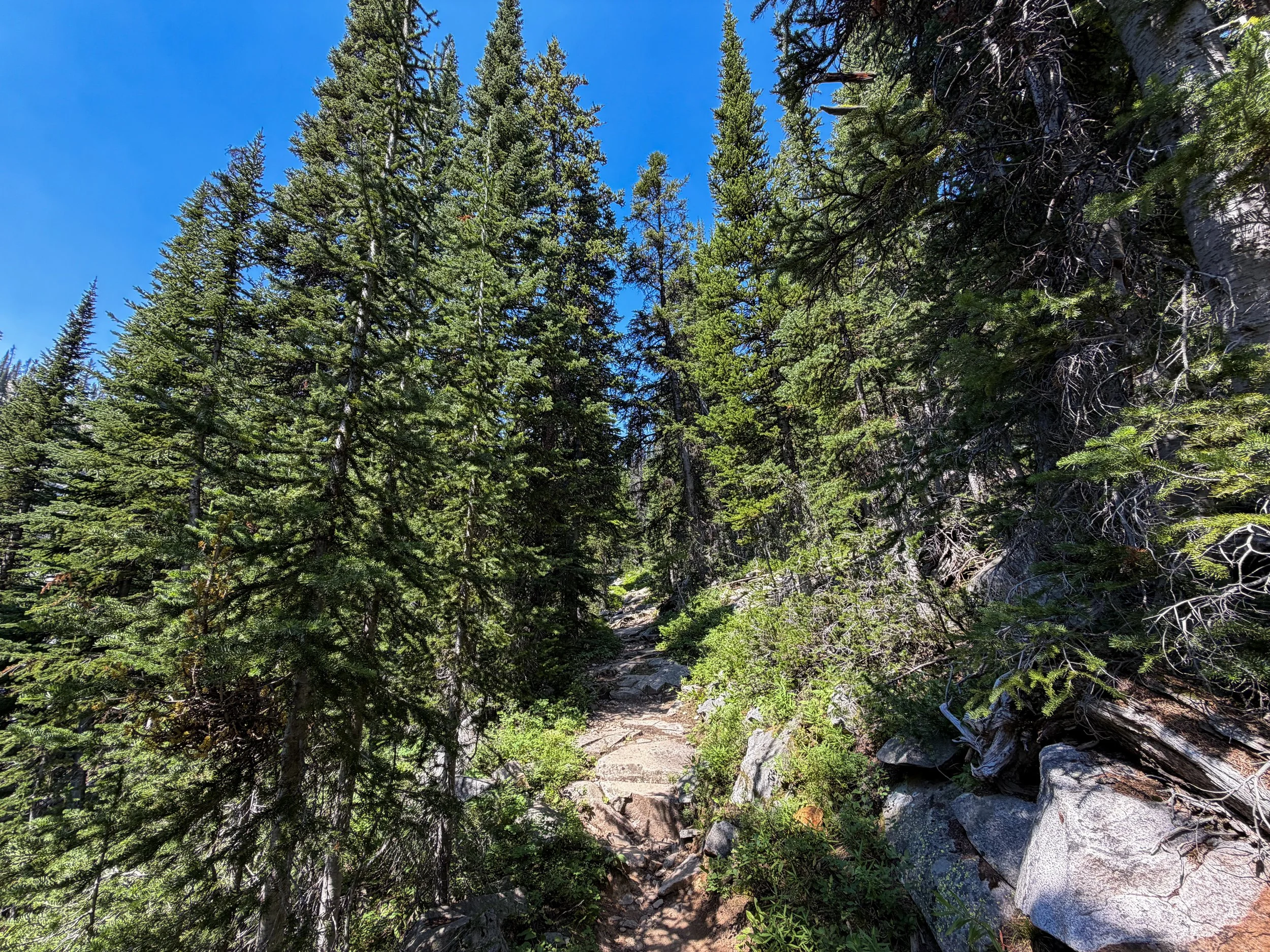 East Rosebud Trail The Beaten Path Beartooth Mountains Montana