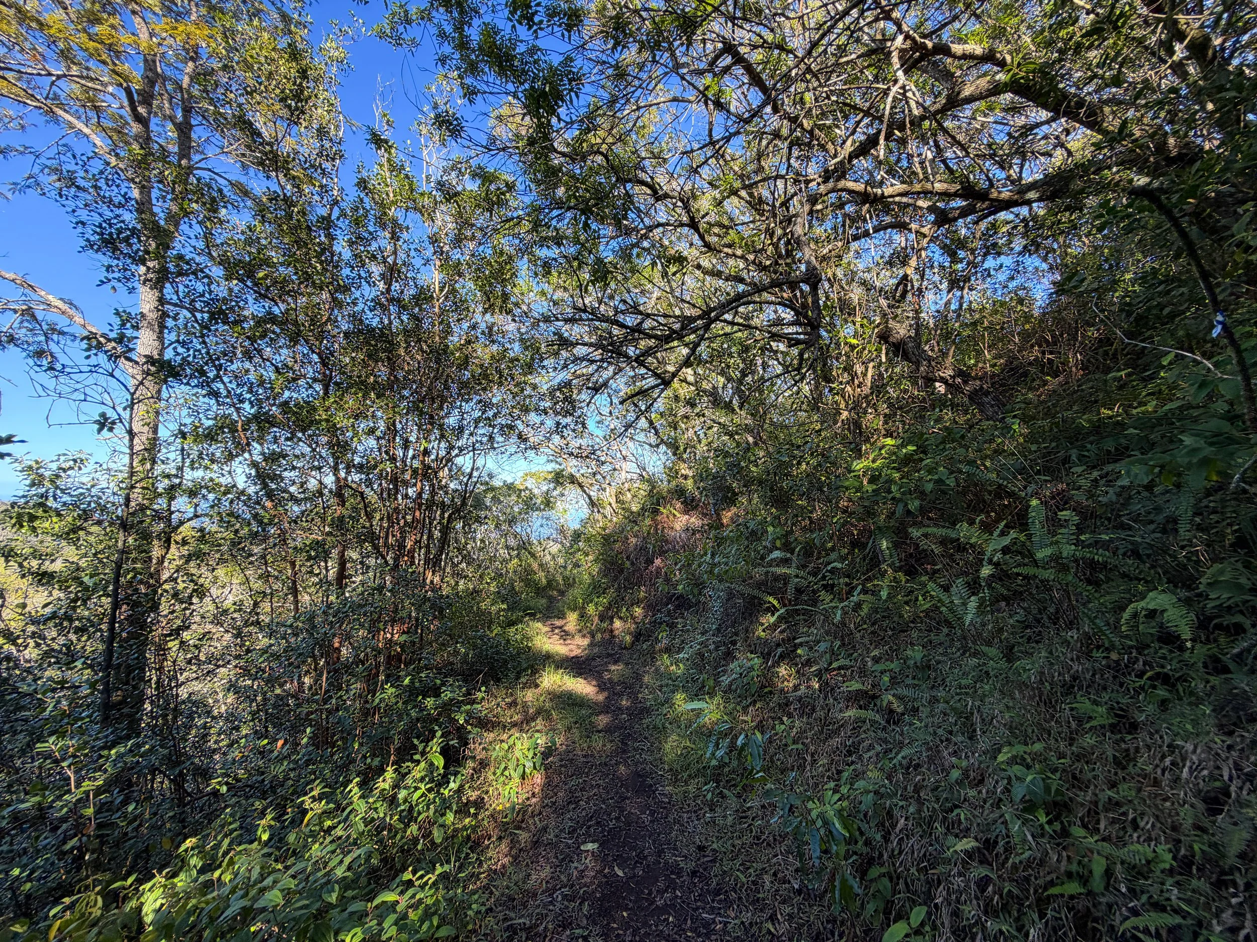 Mokuleia Trail Oahu Hawaii