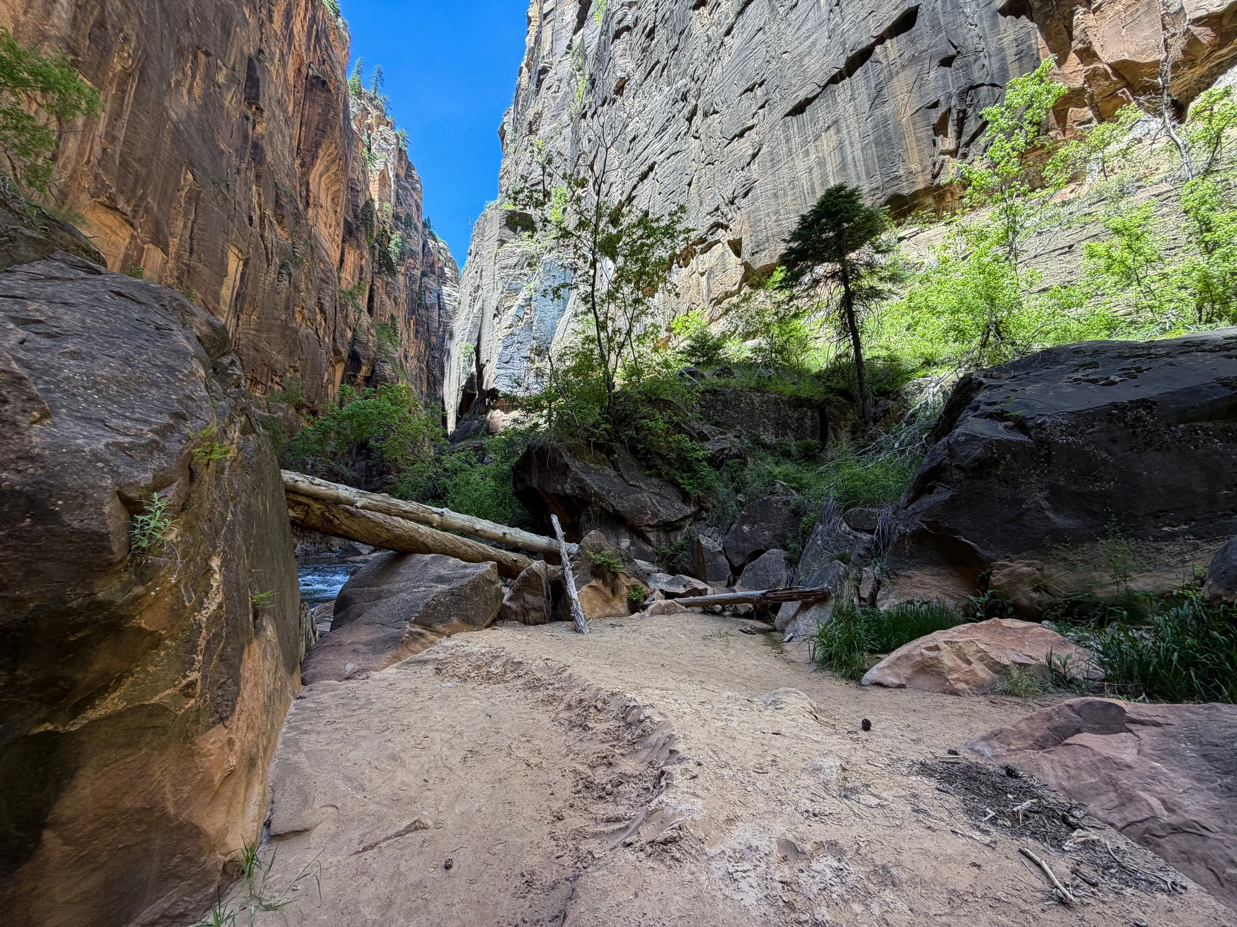 The Narrows Bottom-Up Hike to Big Springs Zion National Park Utah