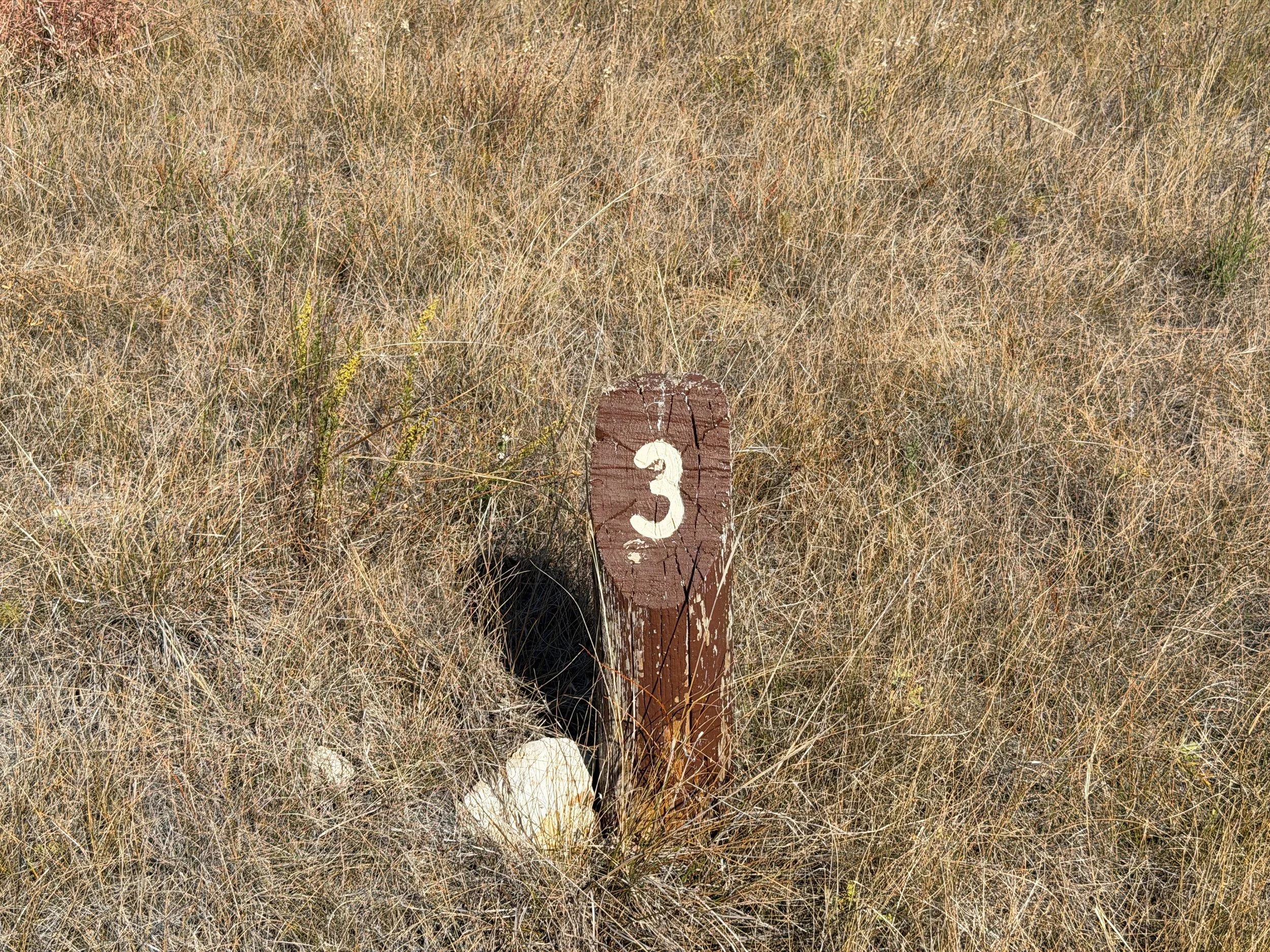 Elk Mountain Trail Wind Cave National Park South Dakota