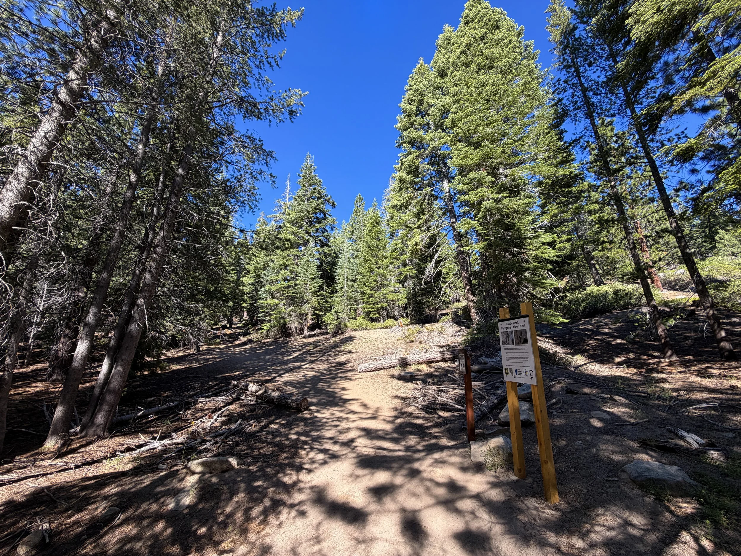 Castle Rock Hike Lake Tahoe Nevada