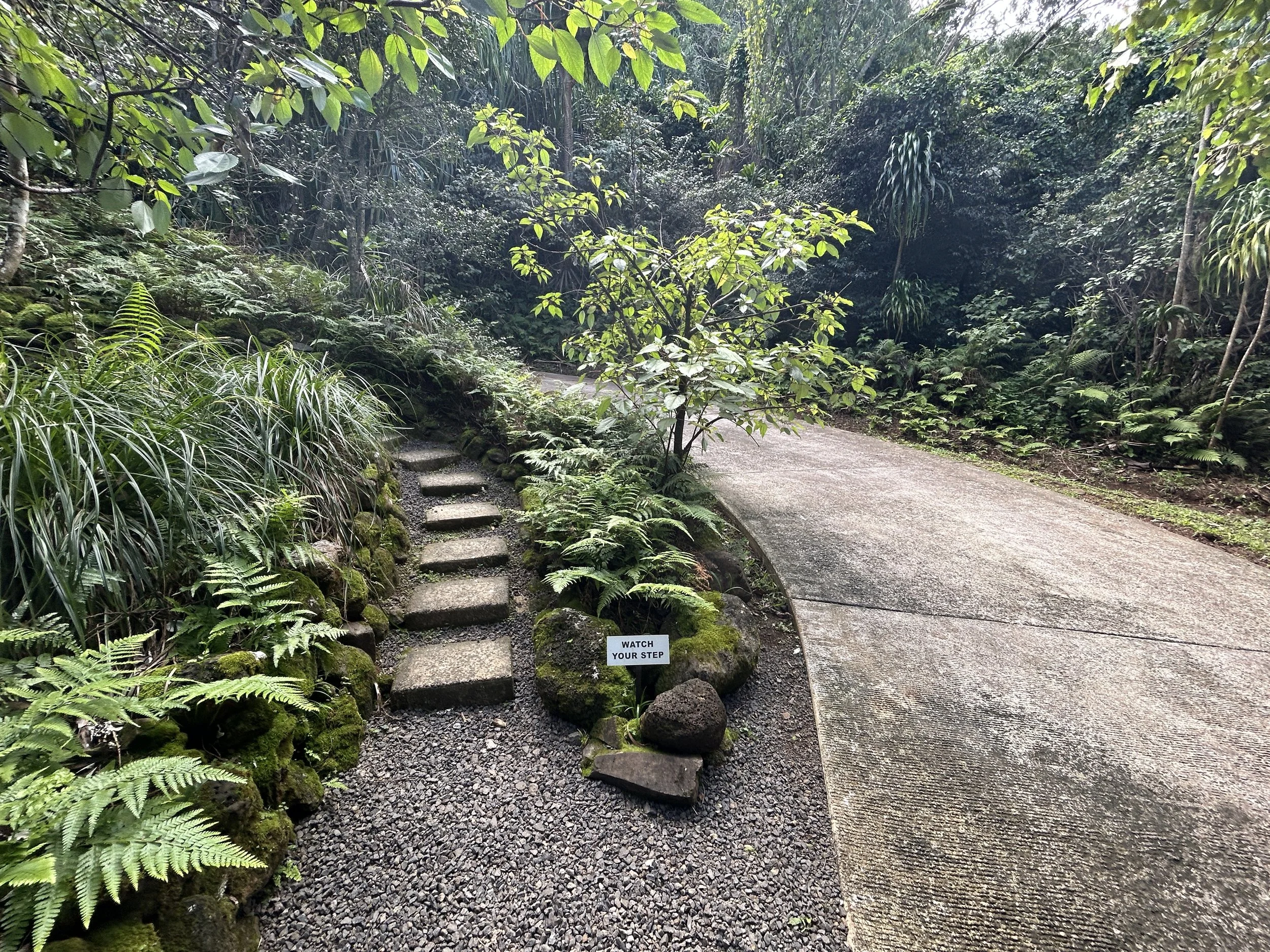 Visiting the Limahuli Garden & Preserve on Kauaʻi’s North Shore — noahawaii