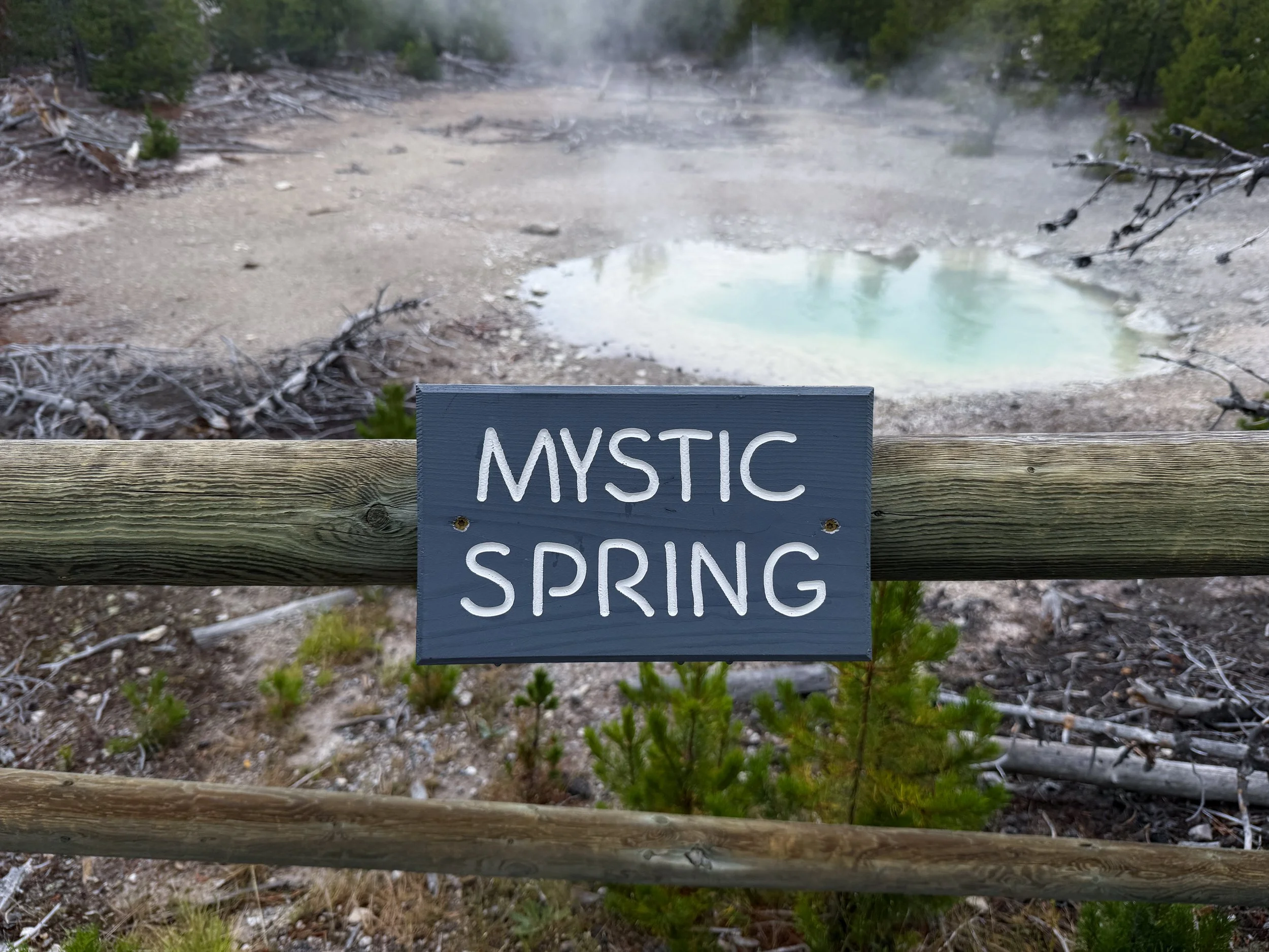 Mystic Spring Norris Geyser Basin Trail Yellowstone National Park Wyoming