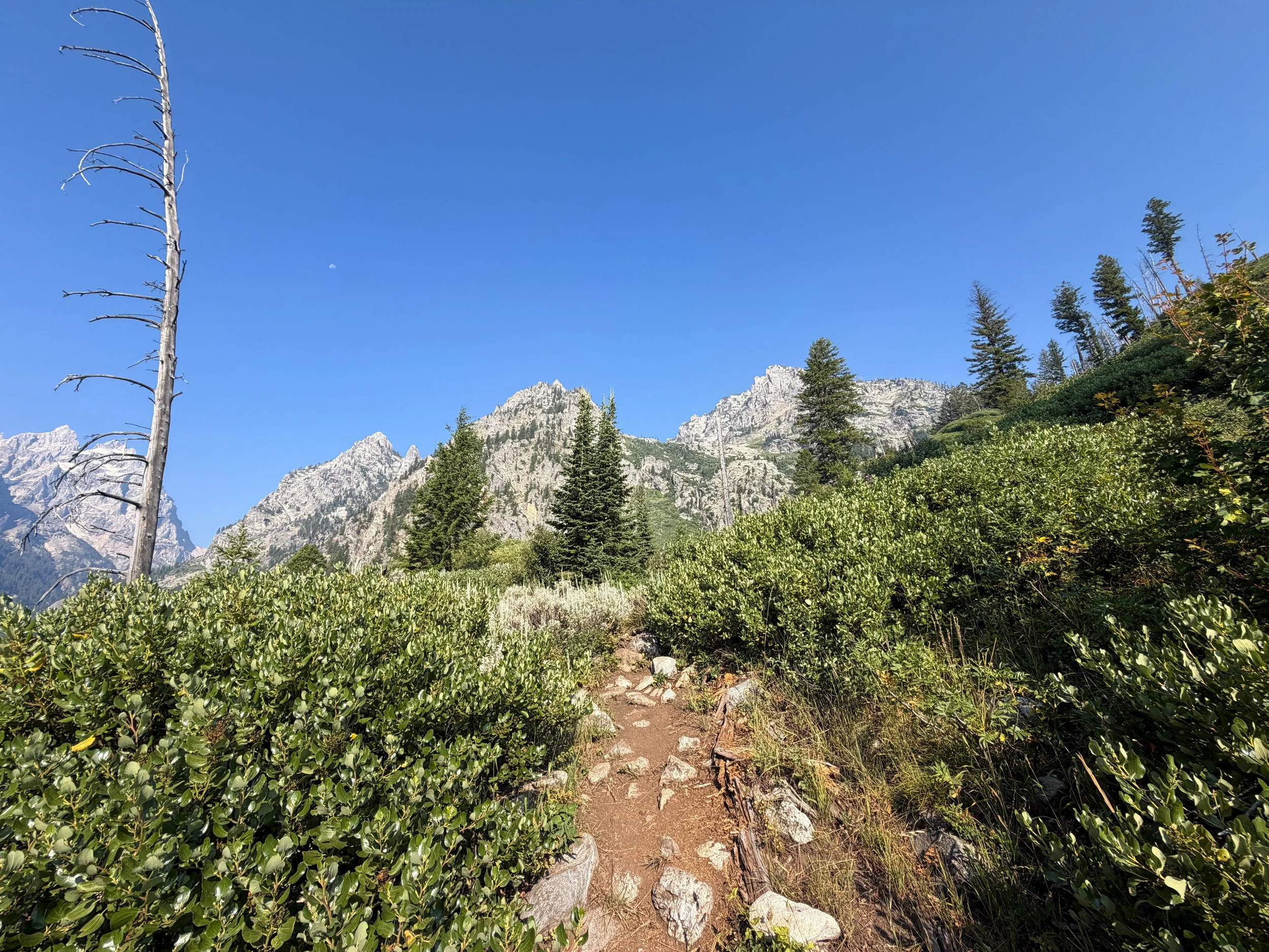 Lake of the Crags Trail Grand Teton National Park Wyoming