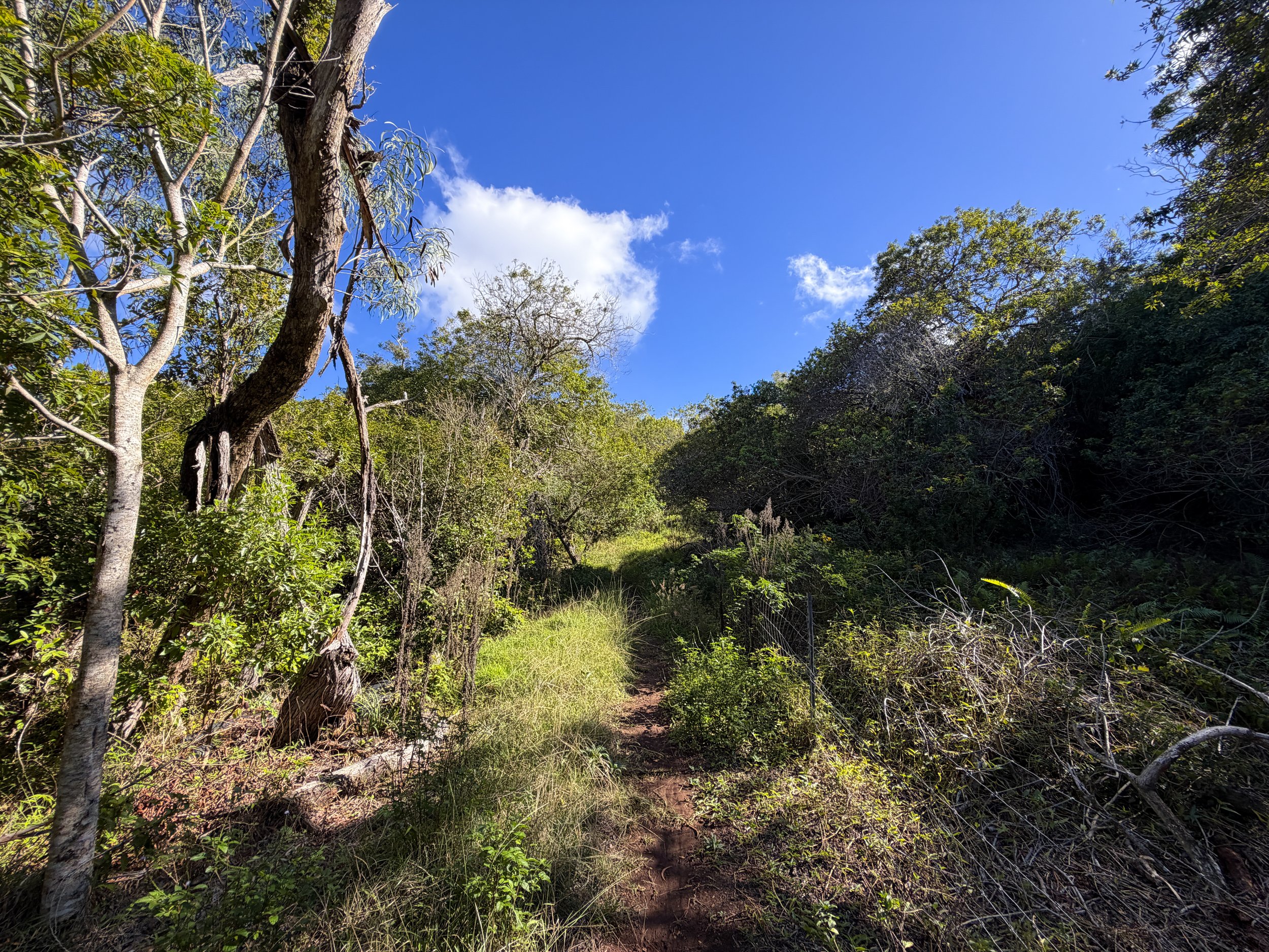 Mokuleia Trail Oahu Hawaii