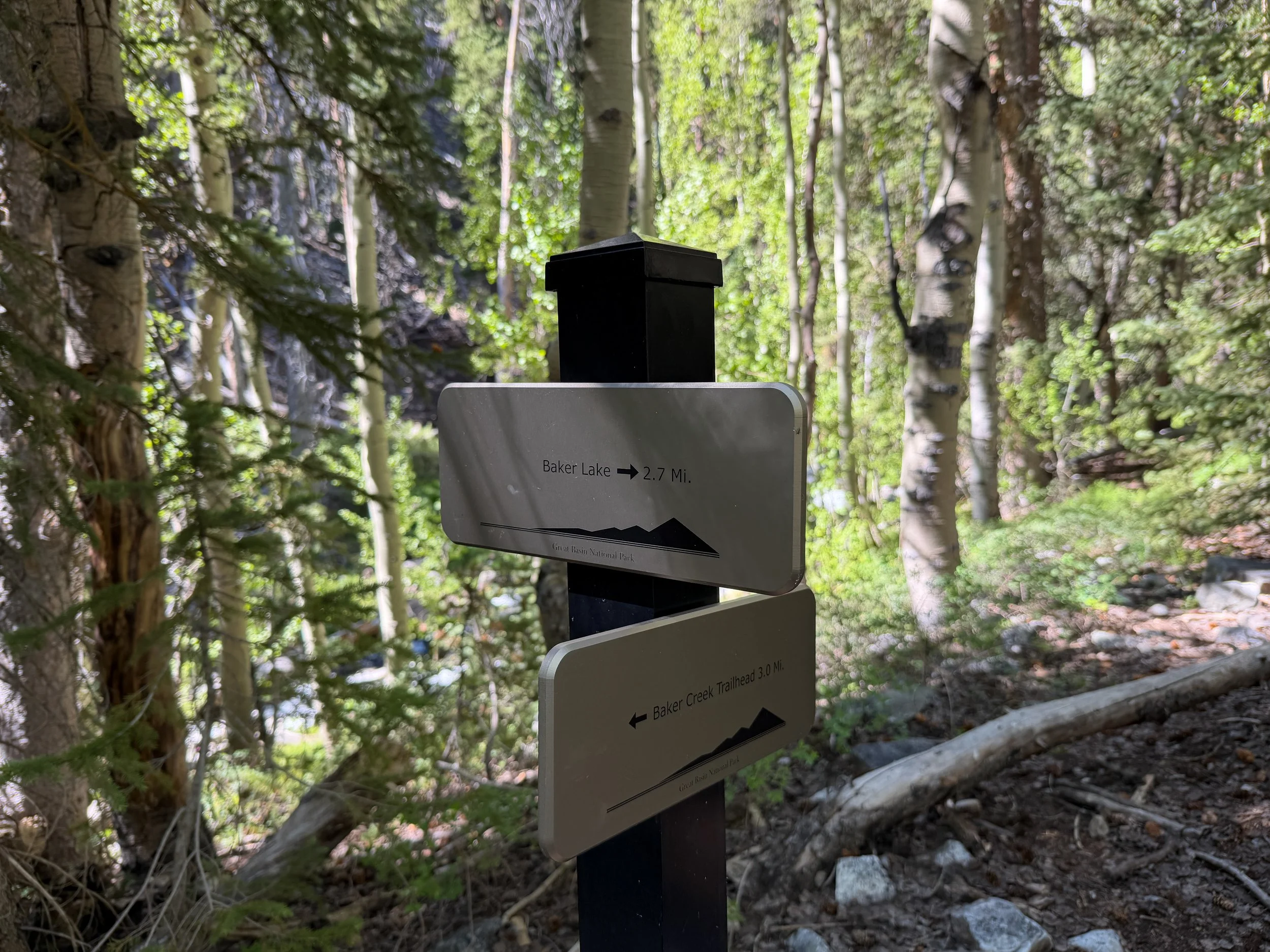 Baker Lake Trail Great Basin National Park Nevada