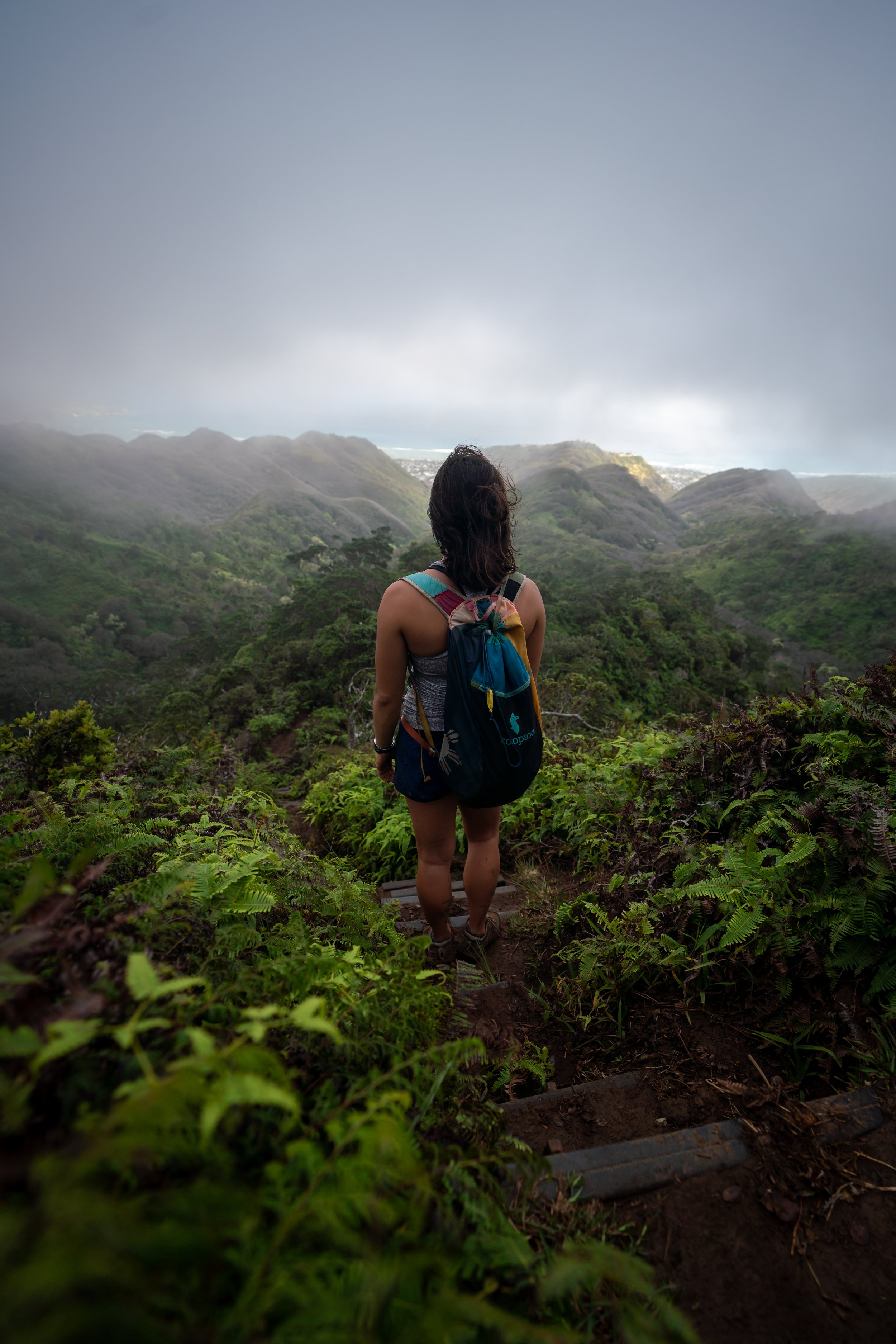 Hawaiʻi Loa Ridge