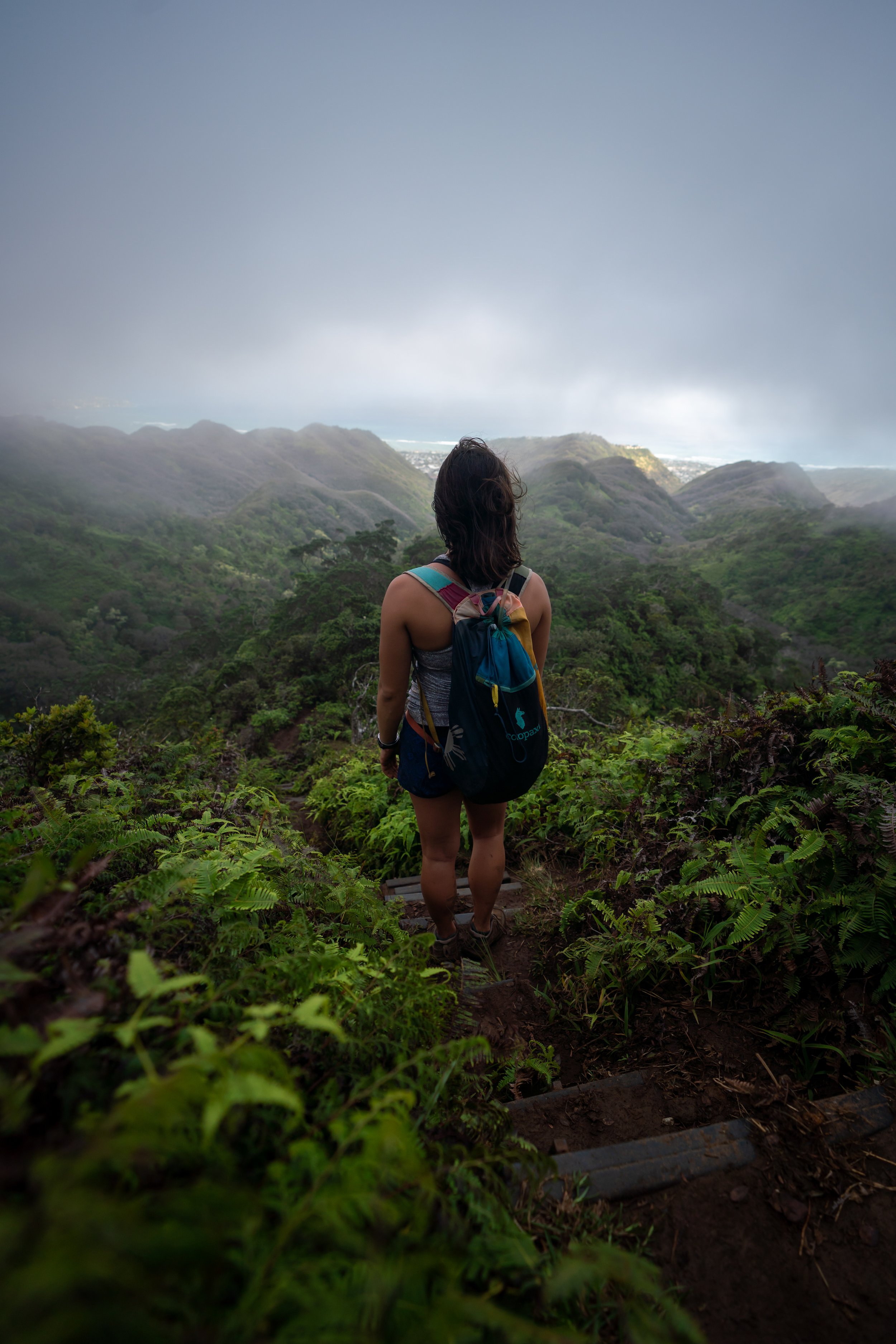 Hawaiʻi Loa Ridge