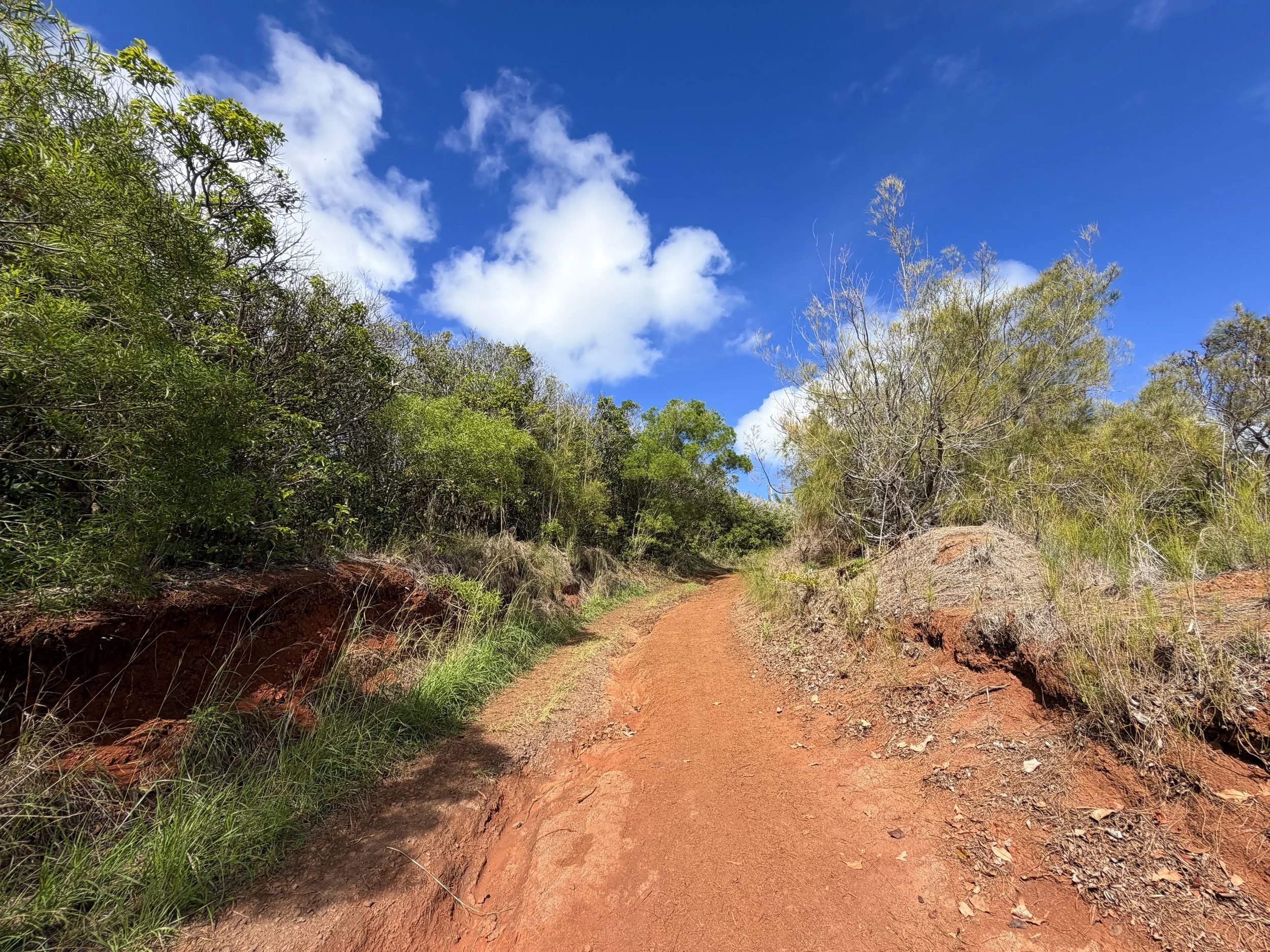 Wiliwilinui Ridge Trail Oahu Hawaii