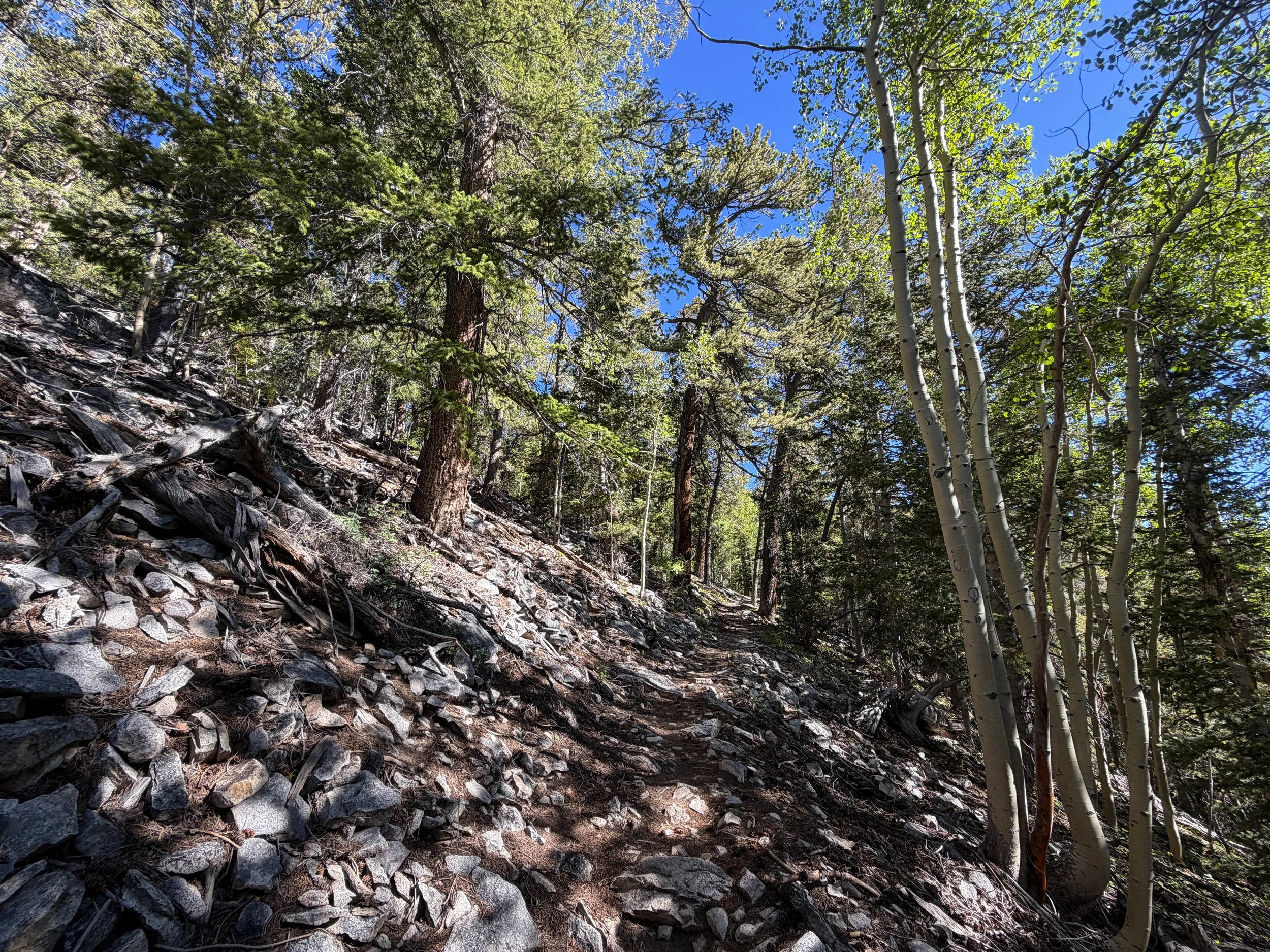 Lehman Creek Trail Great Basin National Park Nevada